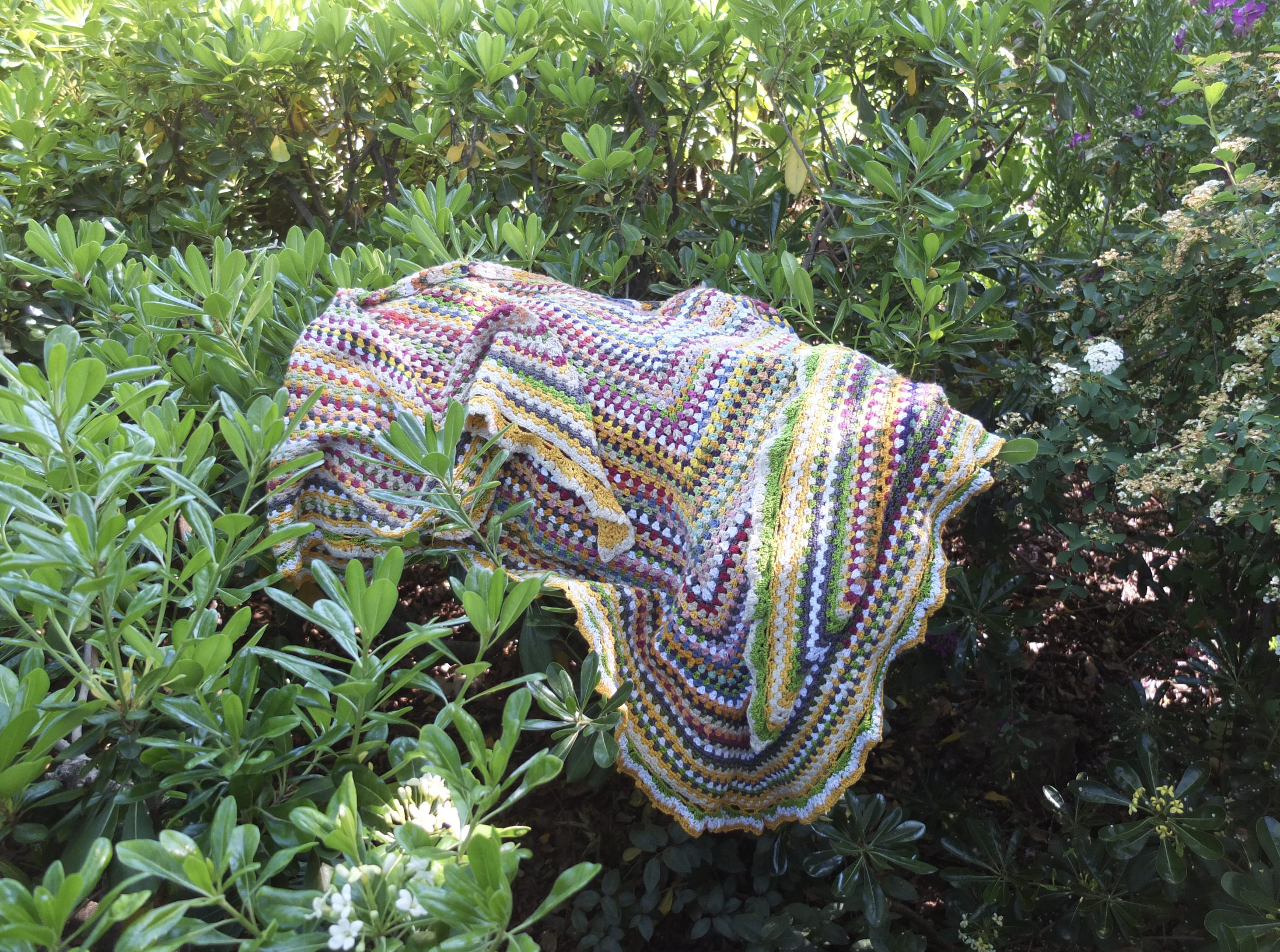 aurealopez crochet chal.png