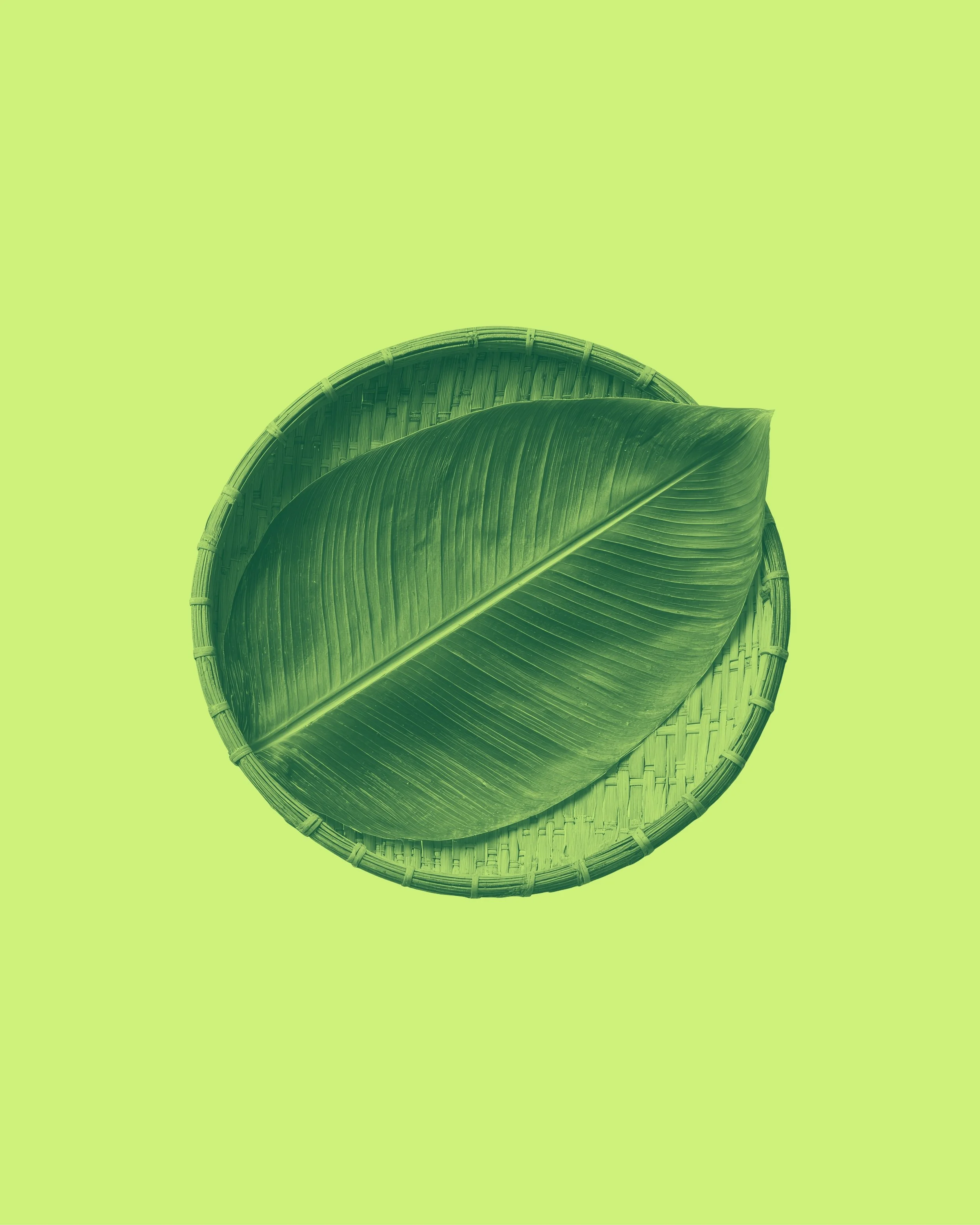 A large green leaf placed on a round woven basket against a light green background.
