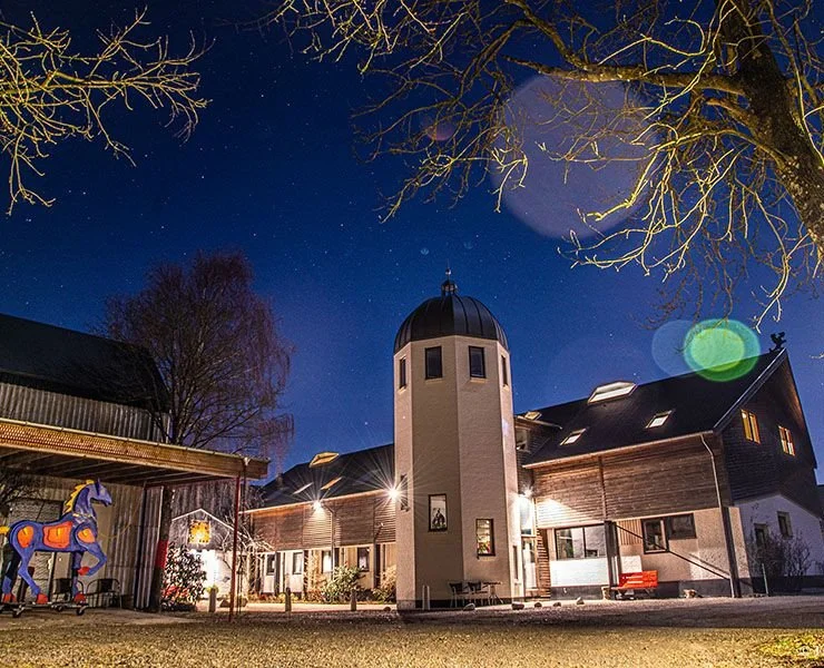Night scene featuring a building with a central tower topped with a dome, illuminated by exterior lights, under a starry sky with bare tree branches in the foreground.