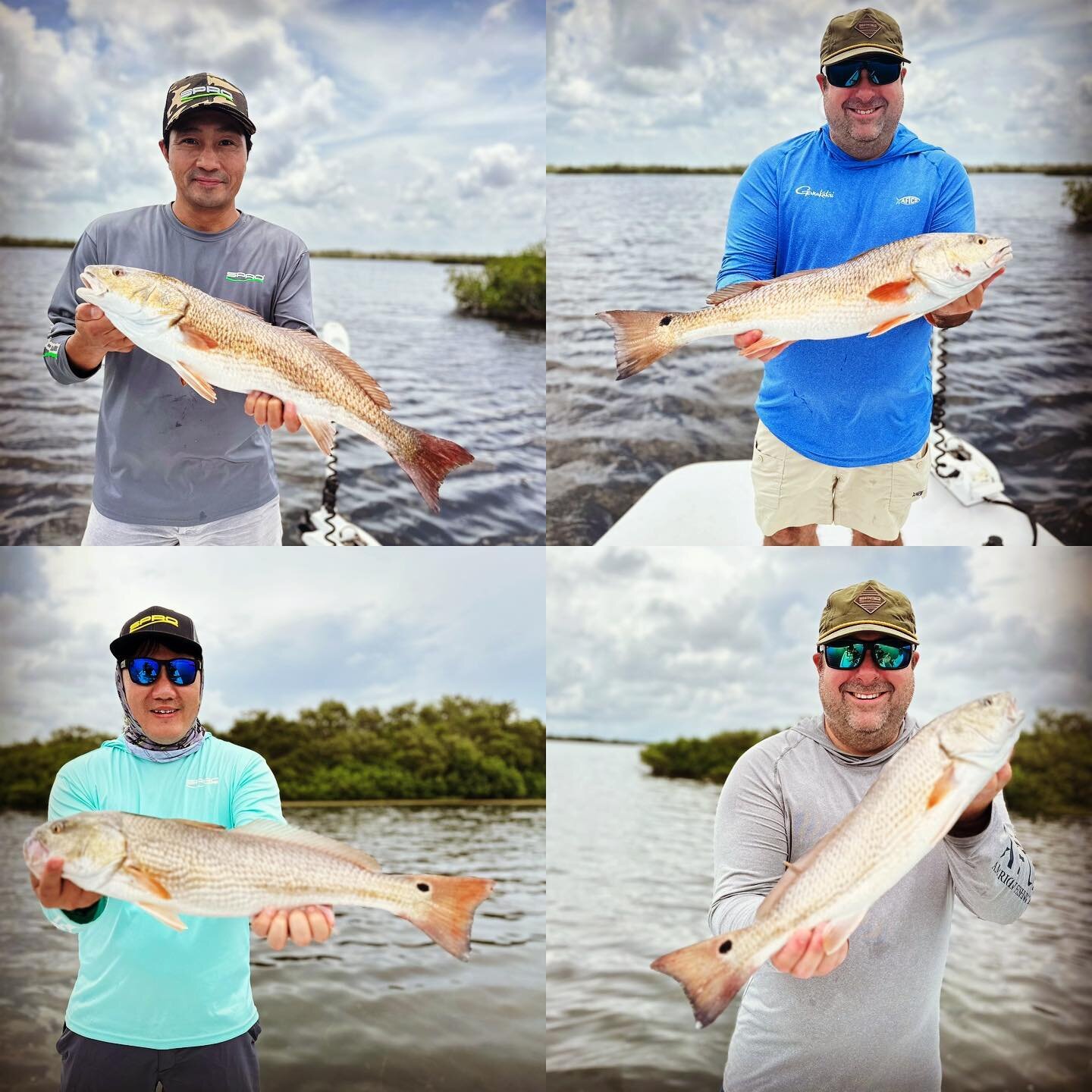 I had team @gamakatsu.usa today. Syd and his crew put up some nice Reds. #crystalriver #captjameskerr
#crystalriverflatsfishing #fishing #naturecoast #seatrout #snook  #visitflorida #sodiumfishinggear #crystalriverfishing #inshorefishing #redfish 

w