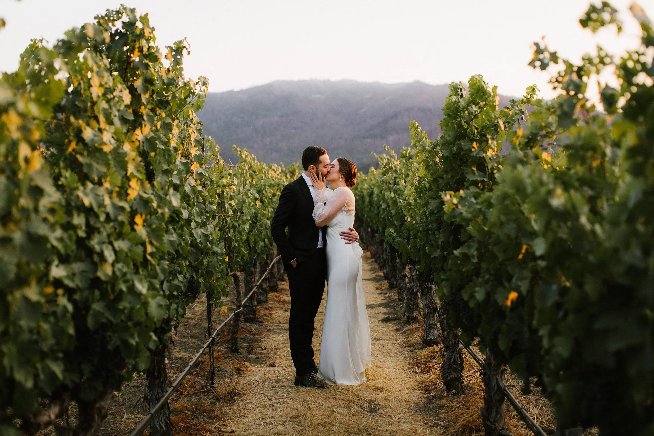 Brindare Wedding Photographer | Napa Valley Wedding
