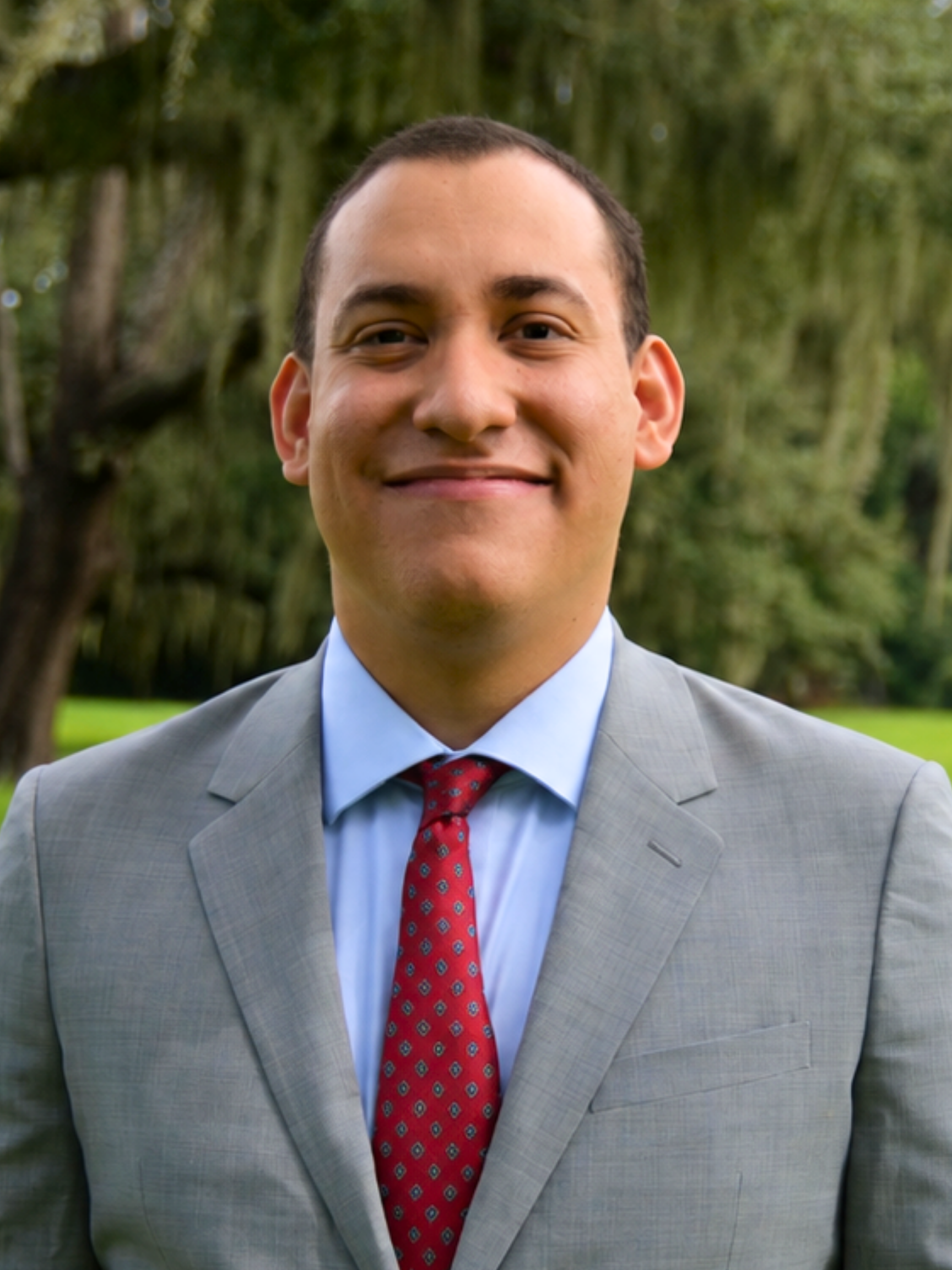 David Palacio - Logic & Rhetoric