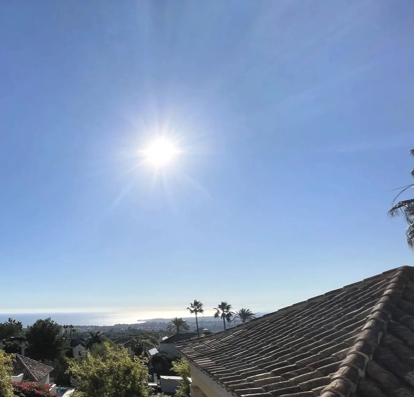 Clear blue sky with bright sun over residential neighborhood with palm trees and rooftops