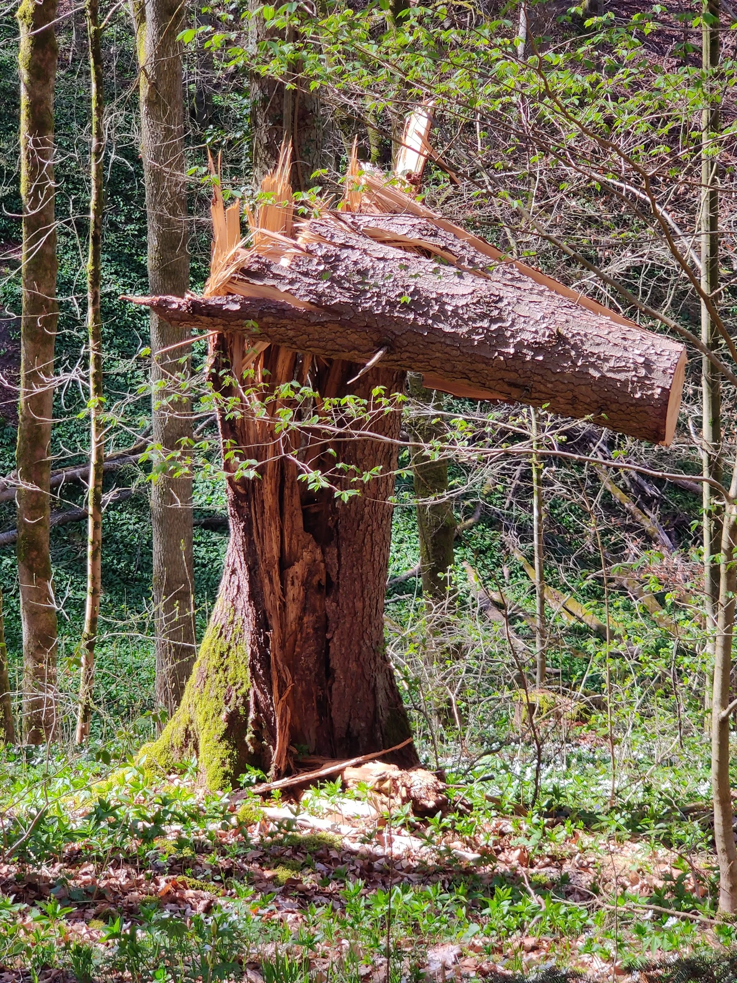  Ich bin eine einzige Ansammlung von Fehlern