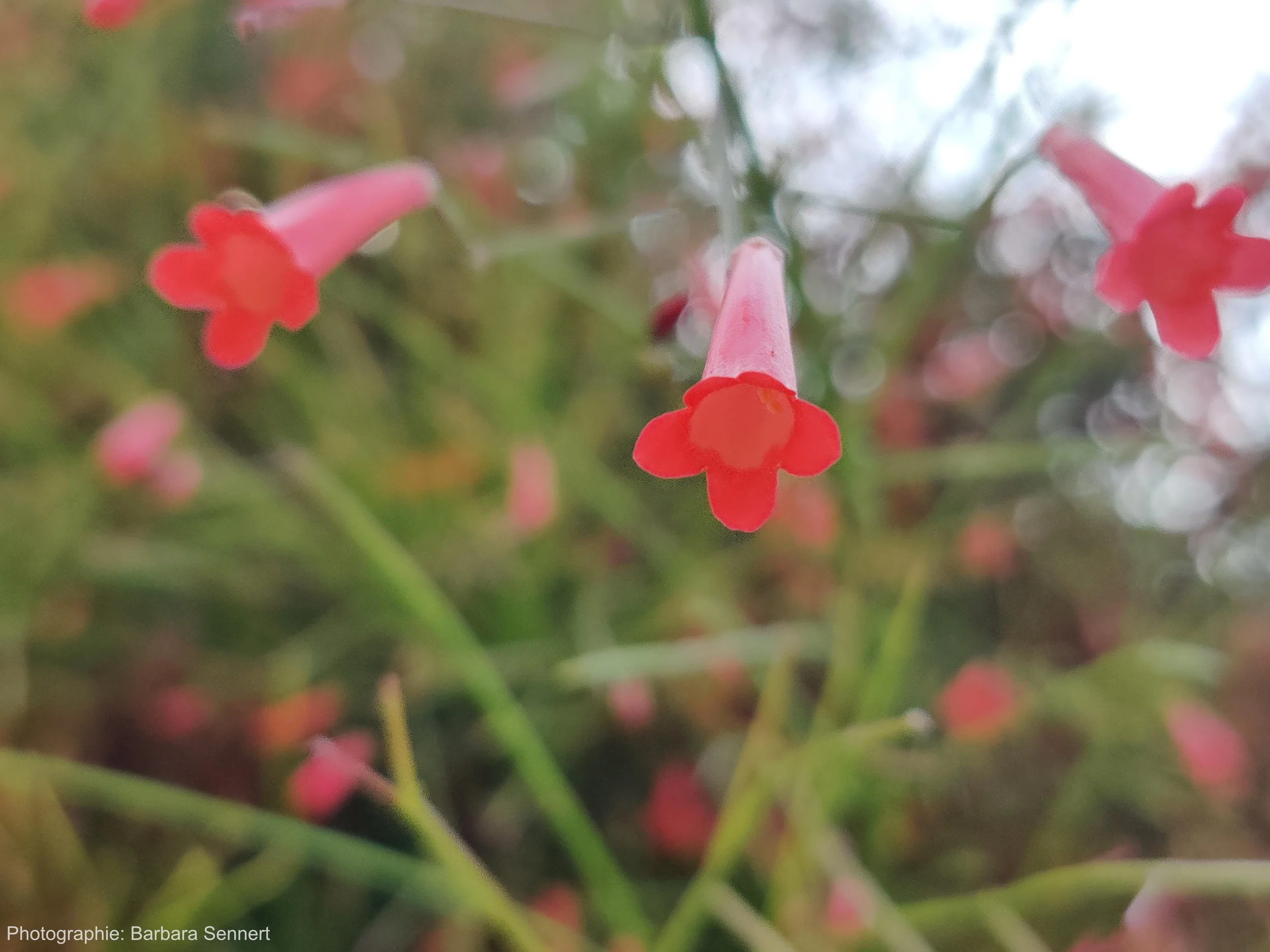 Muss ich wissen, was zu tun ist, bevor ich beginne?