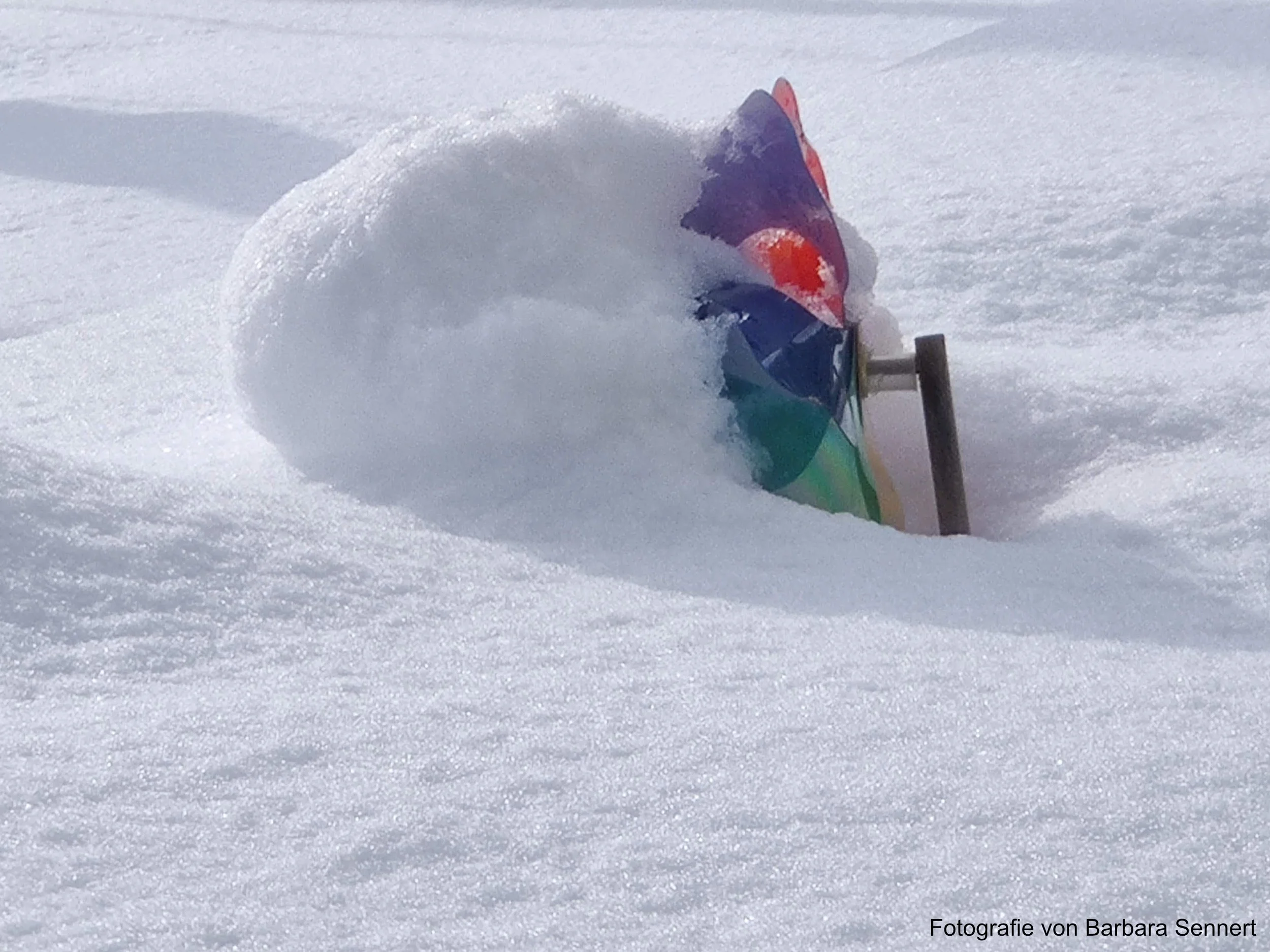 Aufstehen, Funktionieren, Einschlafen