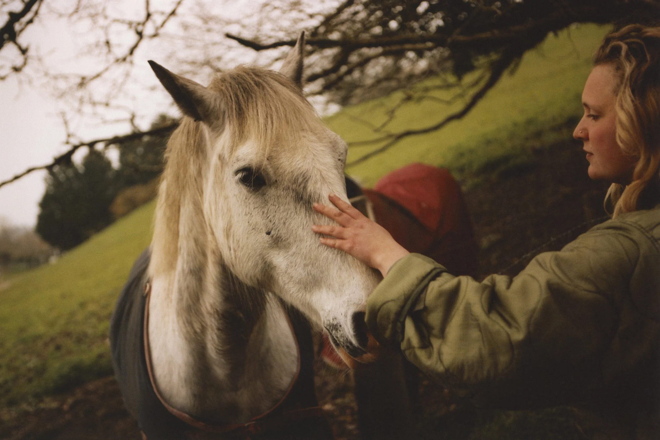 20190415_Chagford_Diaries_35mm_0038.jpg