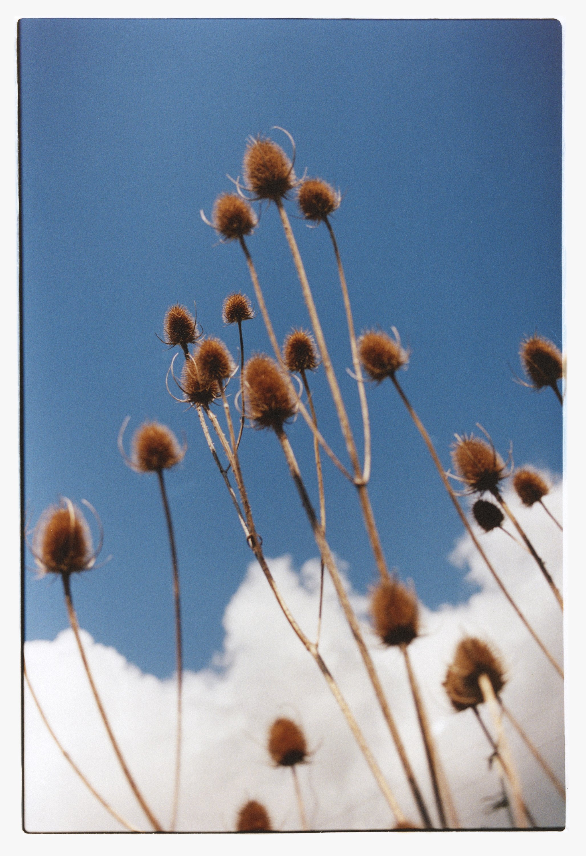 20190415_Chagford_Diaries_35mm_0448.JPG