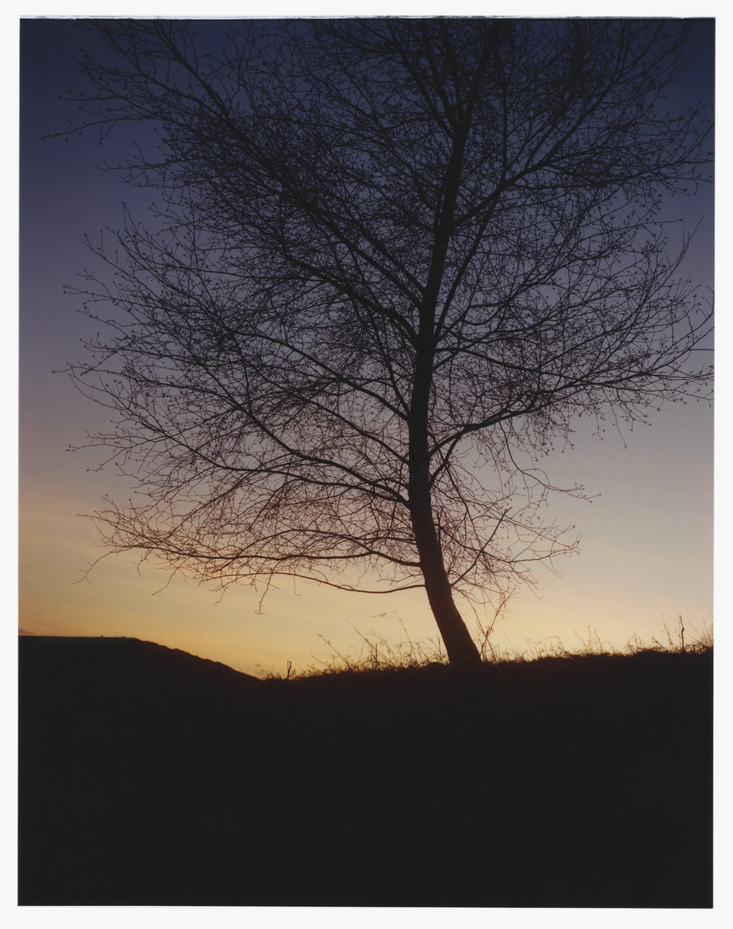 20190415_Chagford_Diaries_0790.JPG