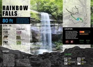 Waterfall Infographic Small 2.jpeg