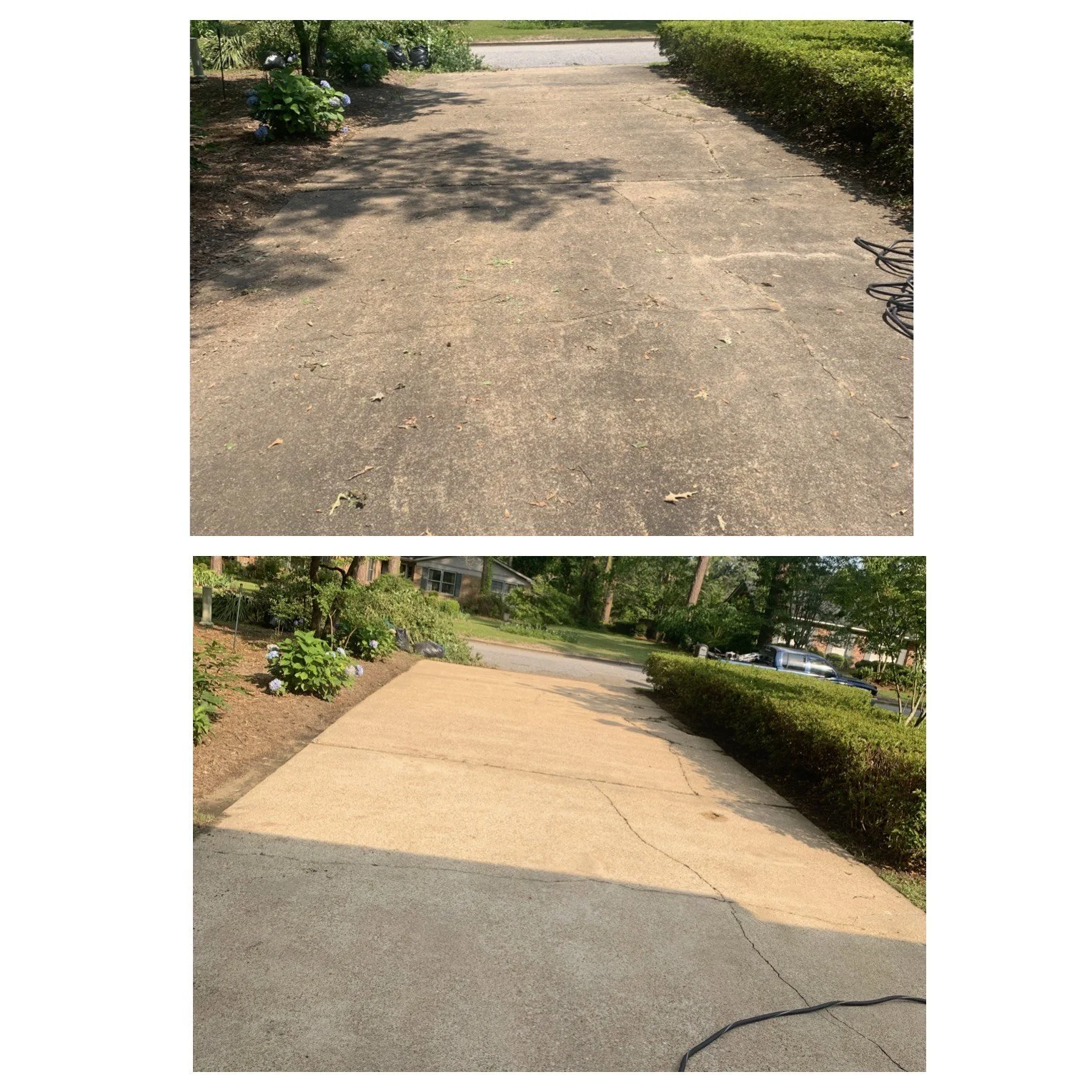 image_6487327 (5).JPG