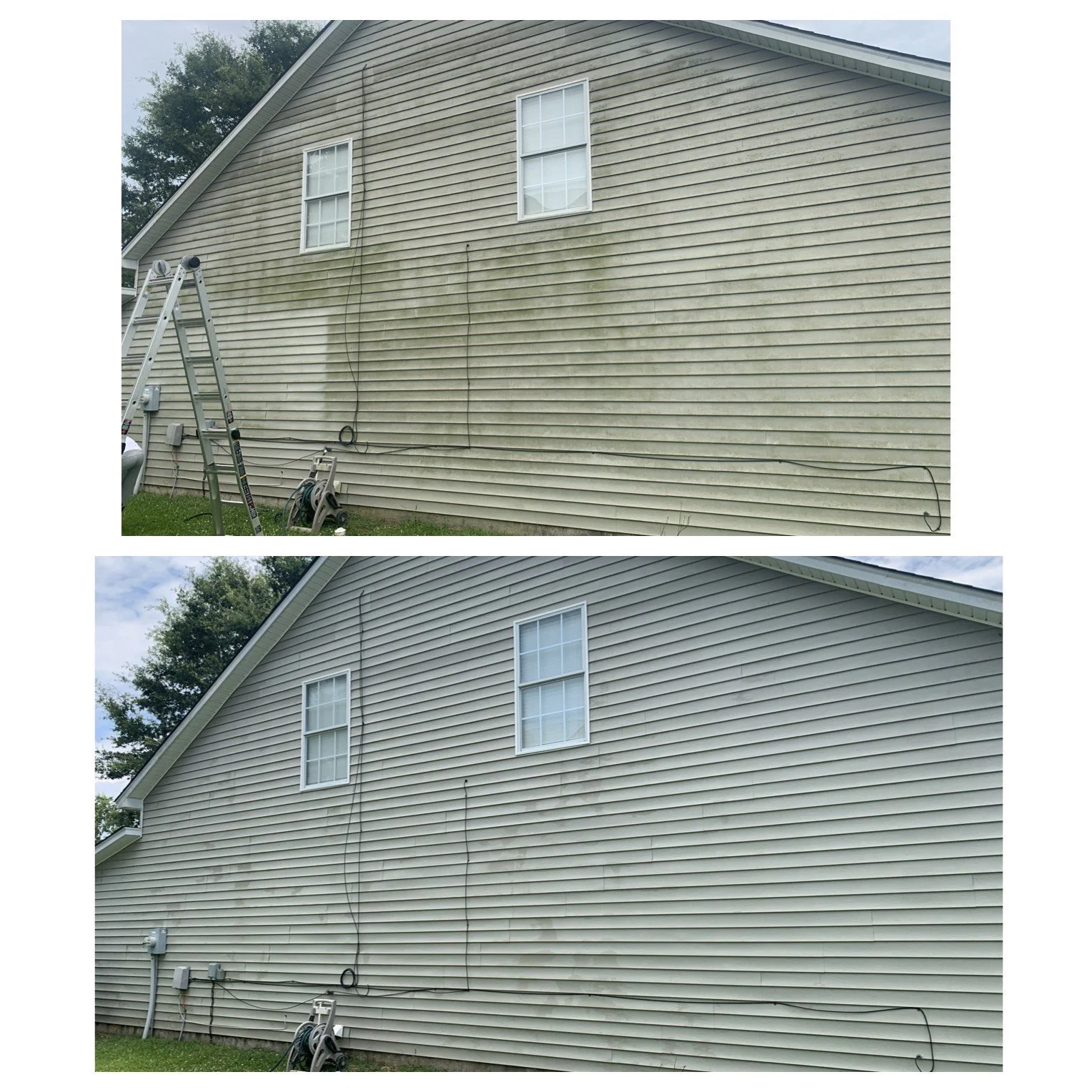 image_6487327 (4).JPG