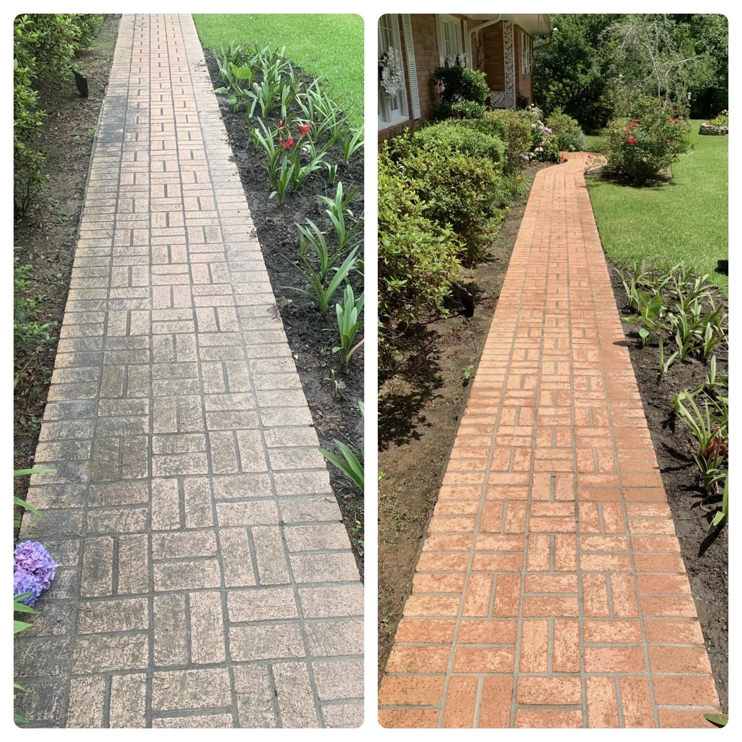 image_6487327 (3).JPG