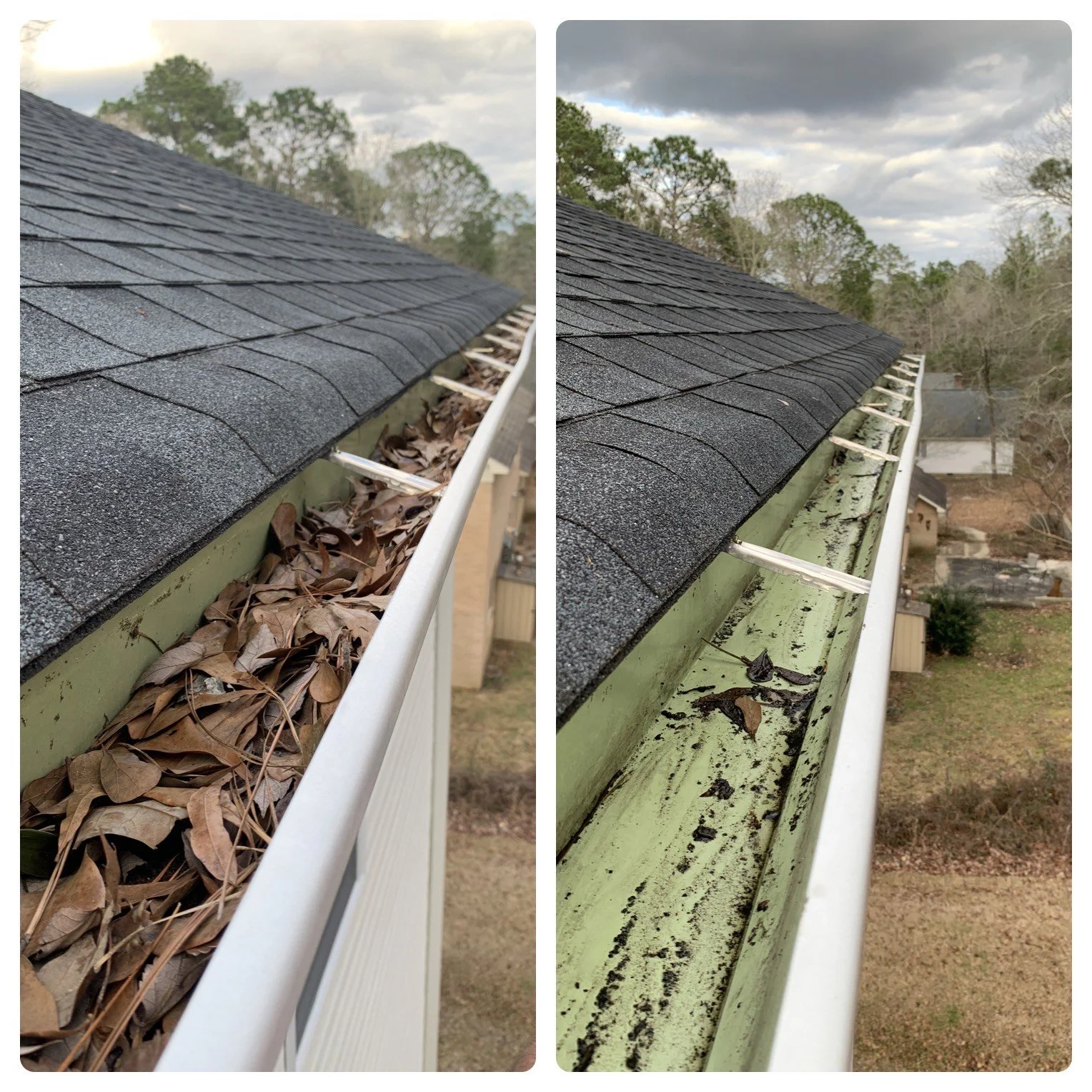 image_6487327 (5).JPG