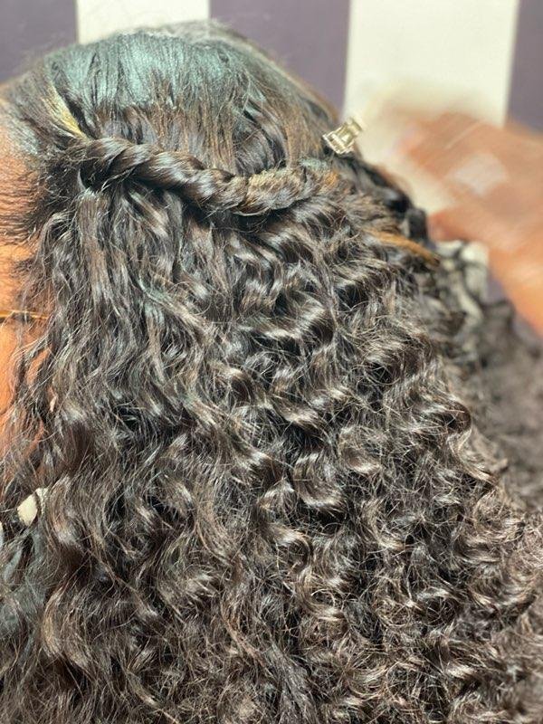 Caribbean Curly