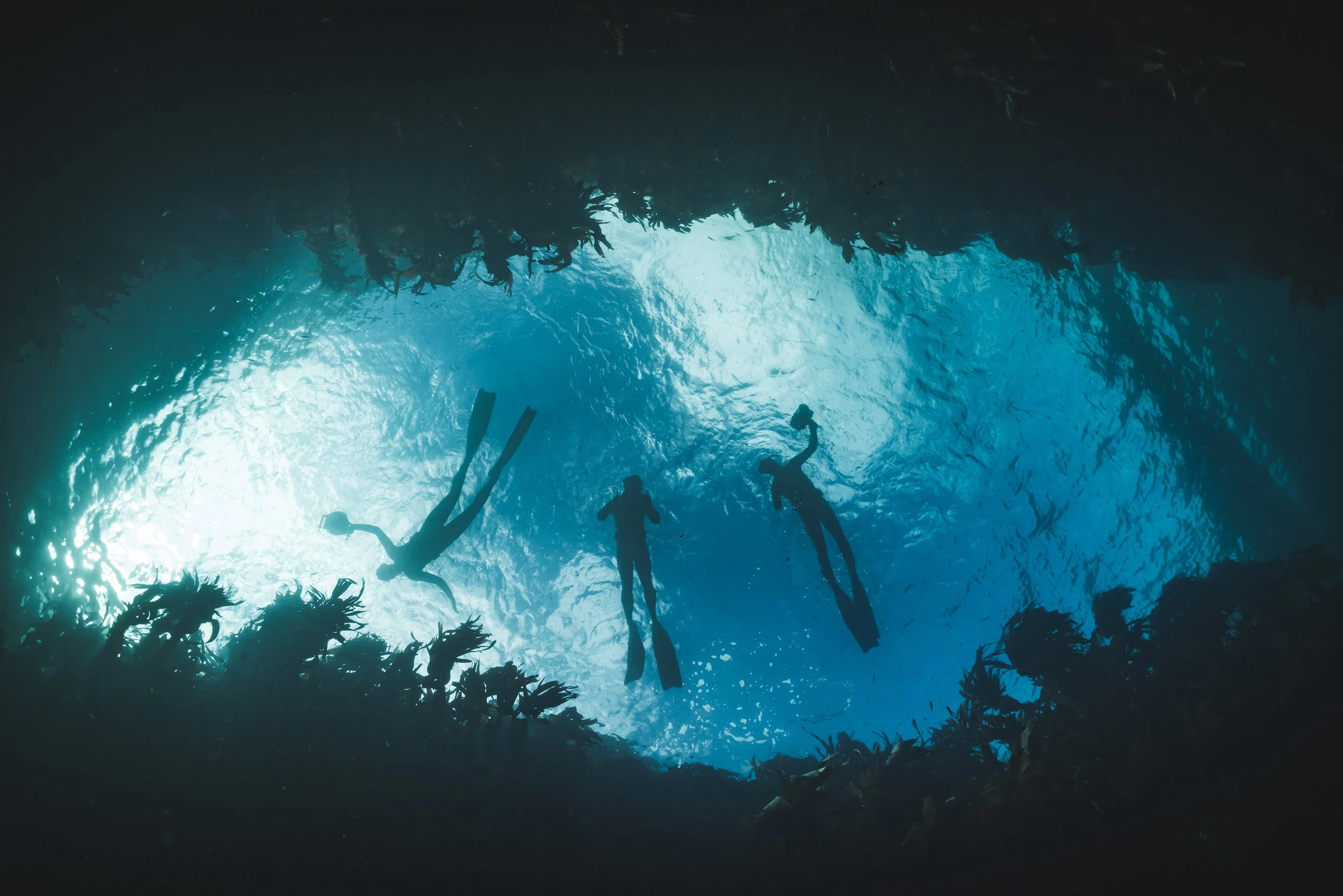 Freedivers, underwater, shetland, Ocean, sea