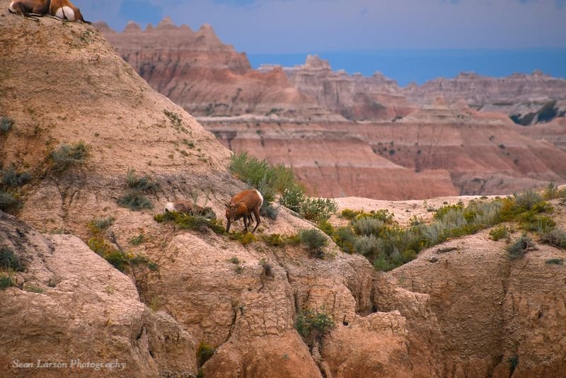 Badlands