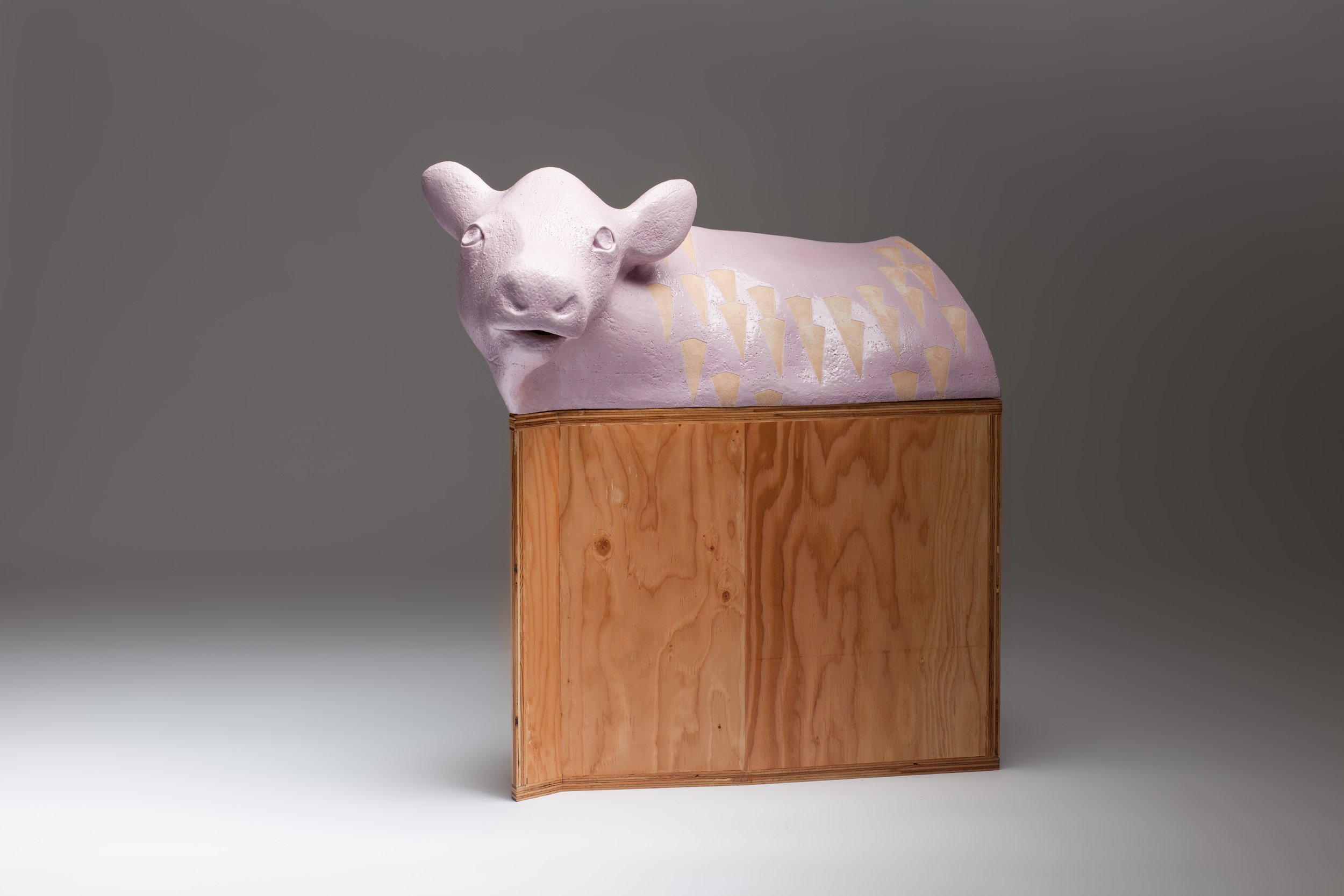 Vache-pleineResolution-9 (2).jpg