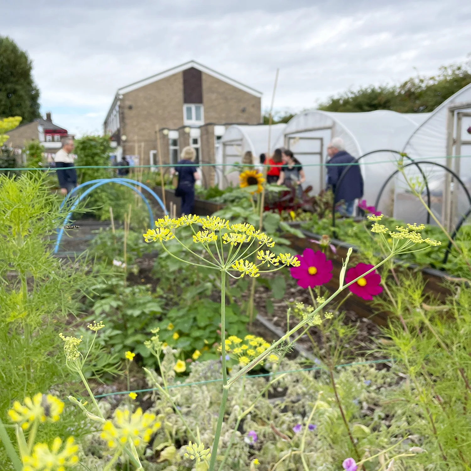  La Salle Kitchen Garden, Liverpool. 