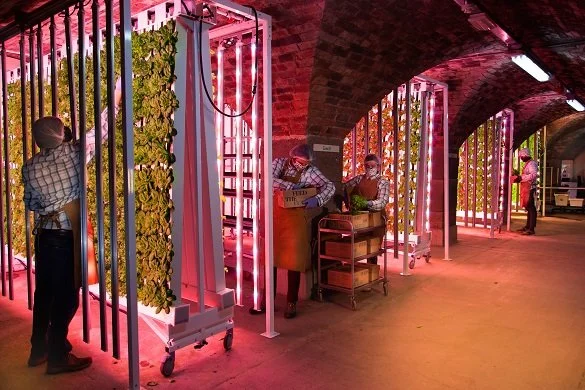  Farm Urban, Liverpool 