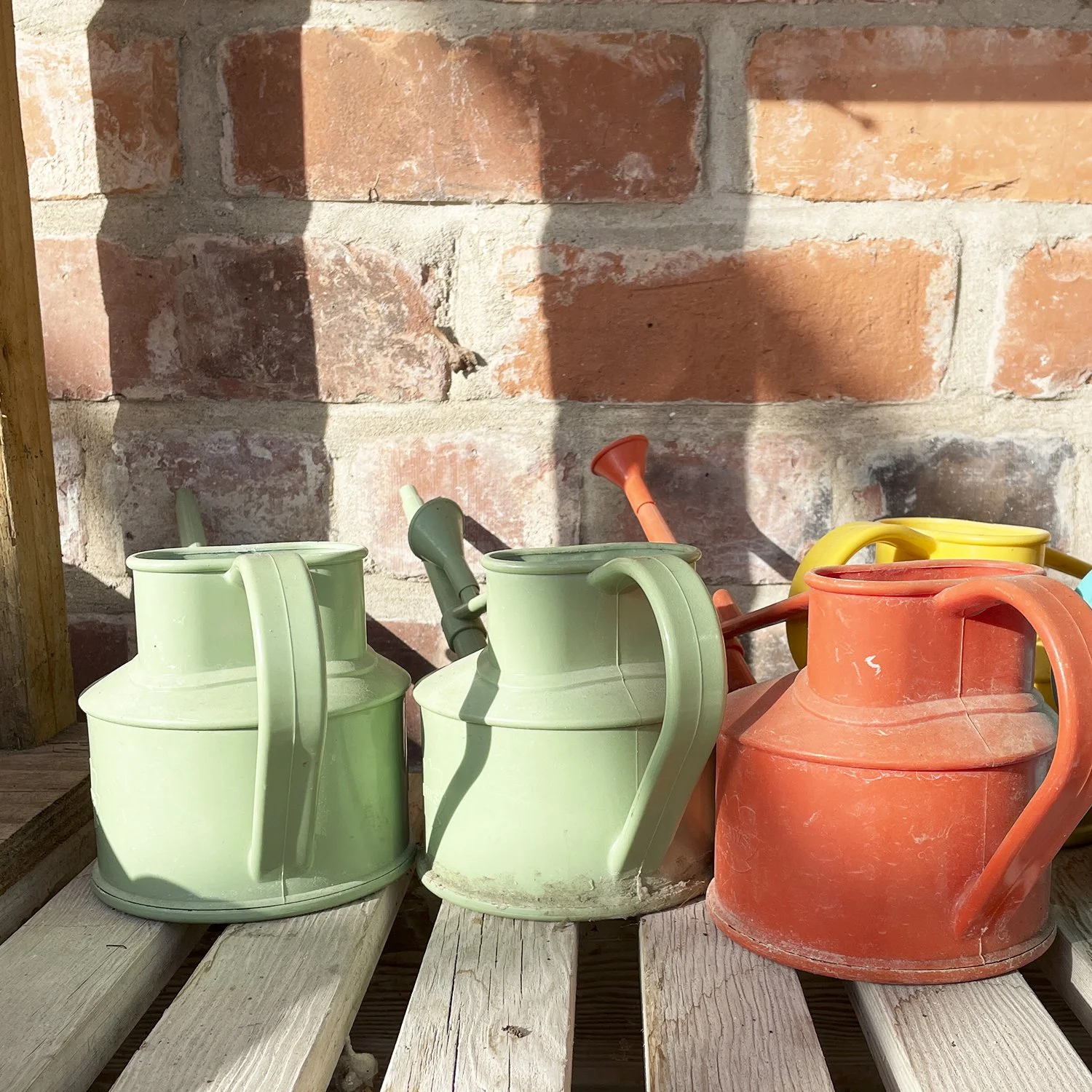 Eco Therapy Garden Open Day
