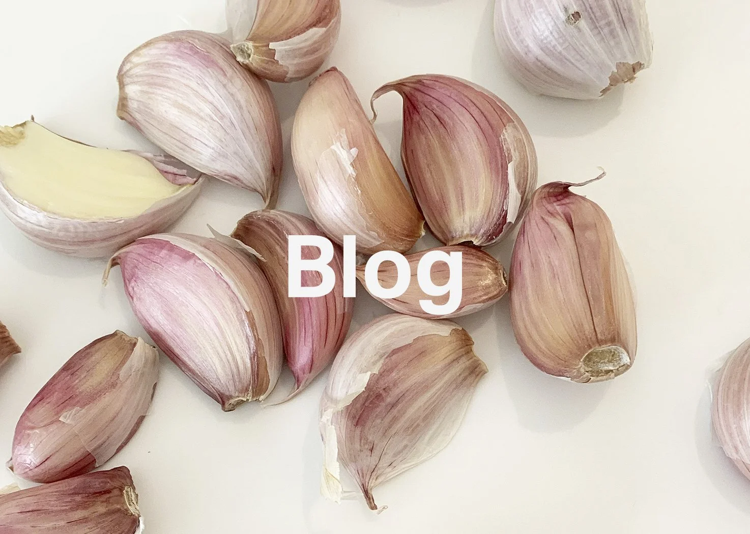 blog_garlic.jpg