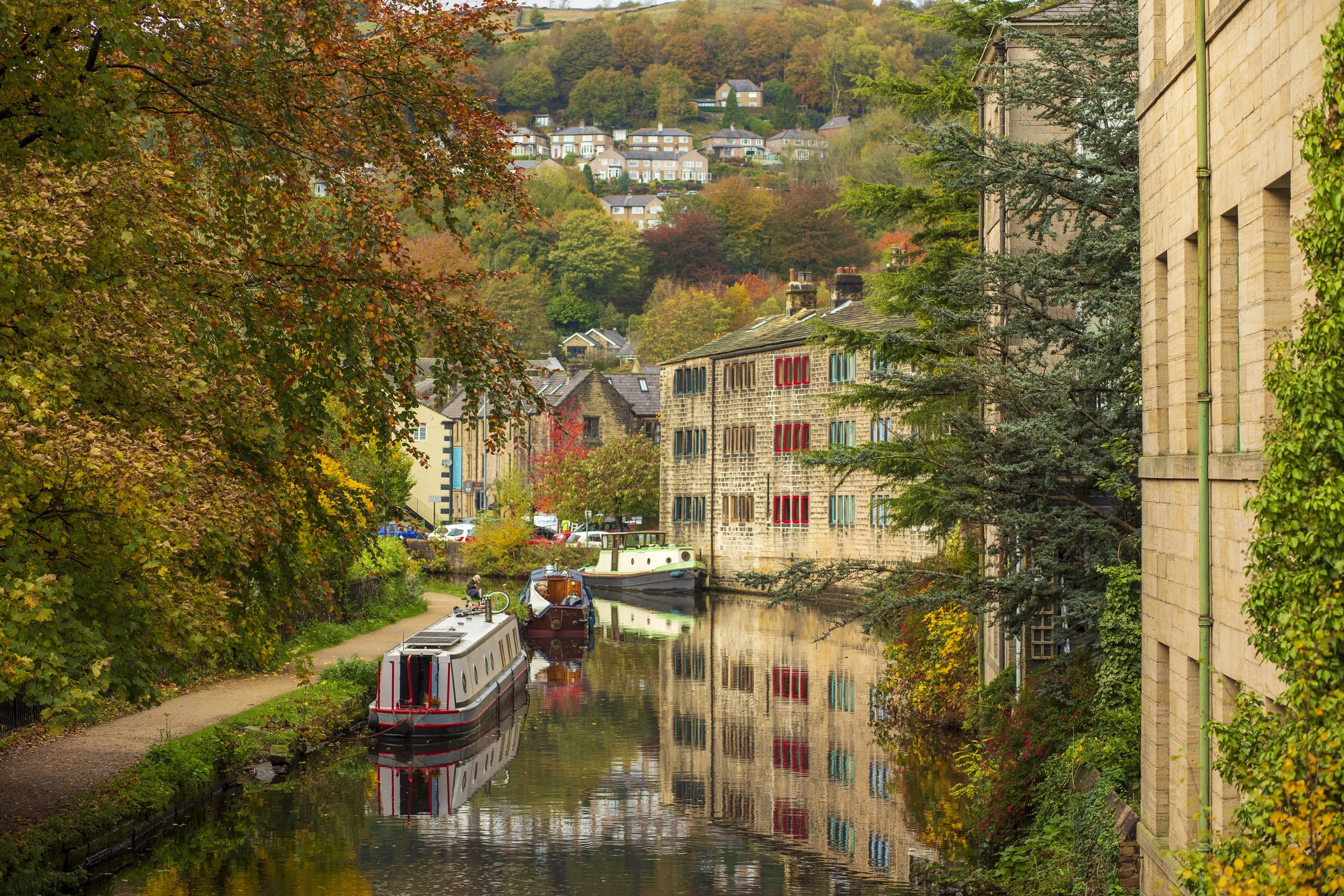 AutumnHB37.jpg