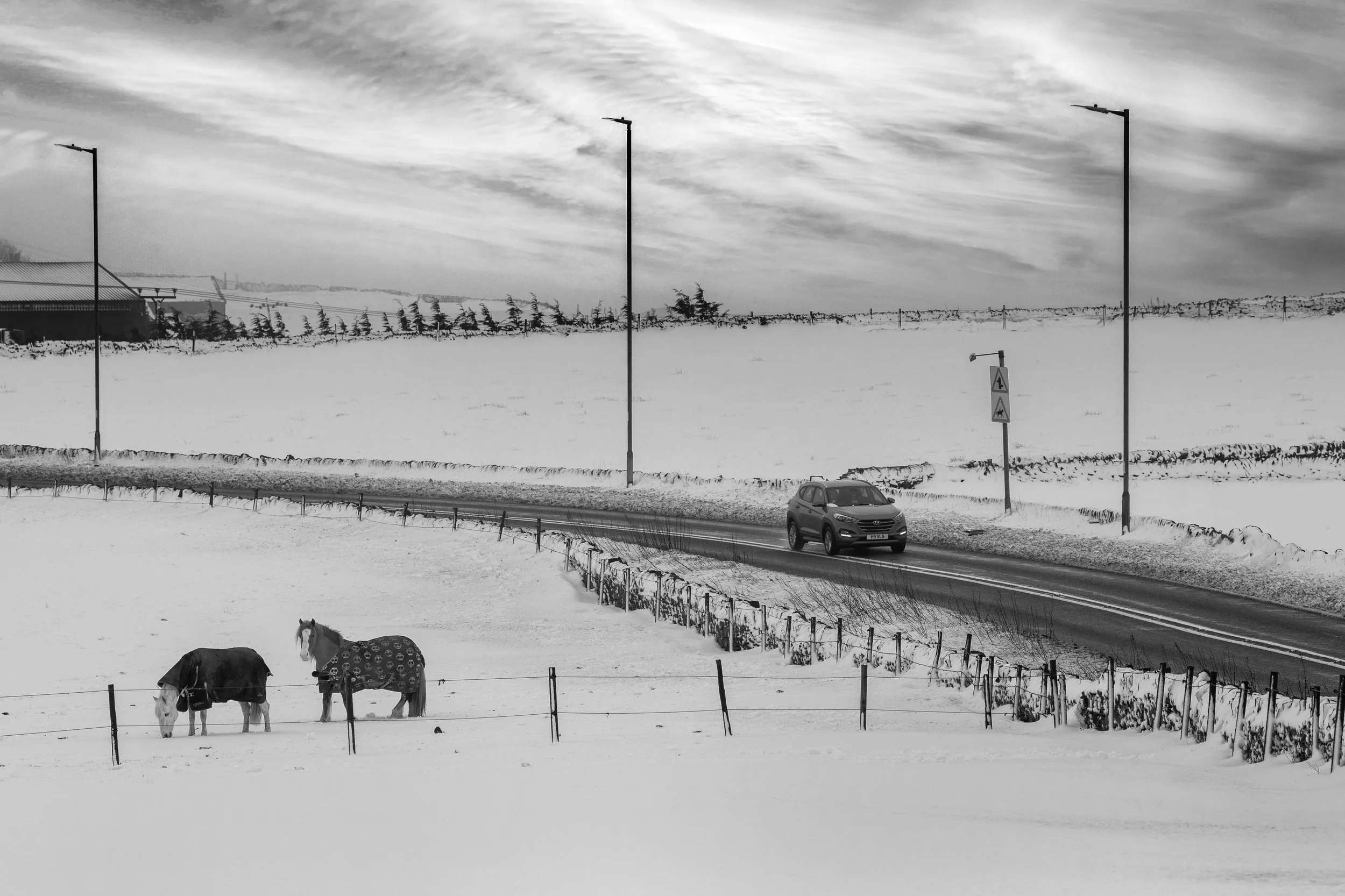 Snow1639.jpg
