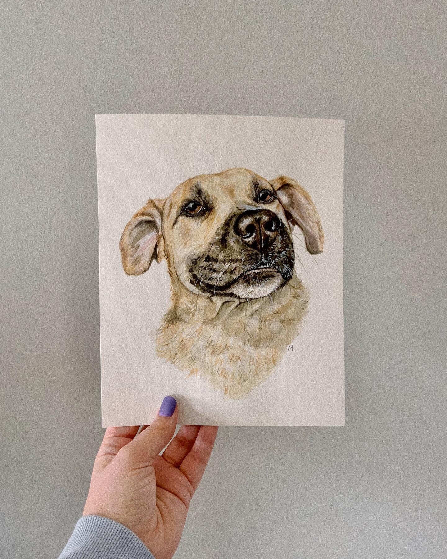 A recent portrait I did of @sammerjammer_and_kris 💛