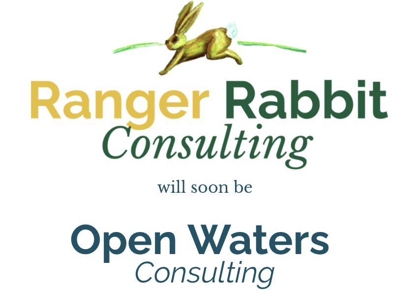 Ranger Rabbit Consulting