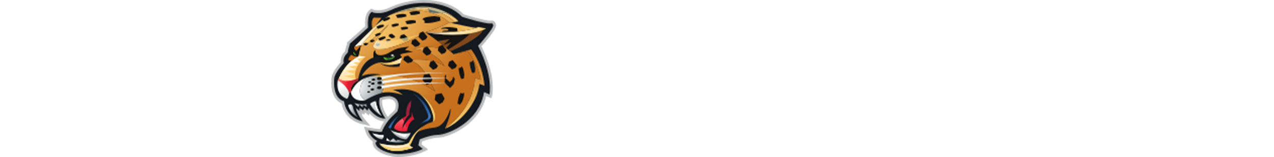 GP Website - IU Indy.png