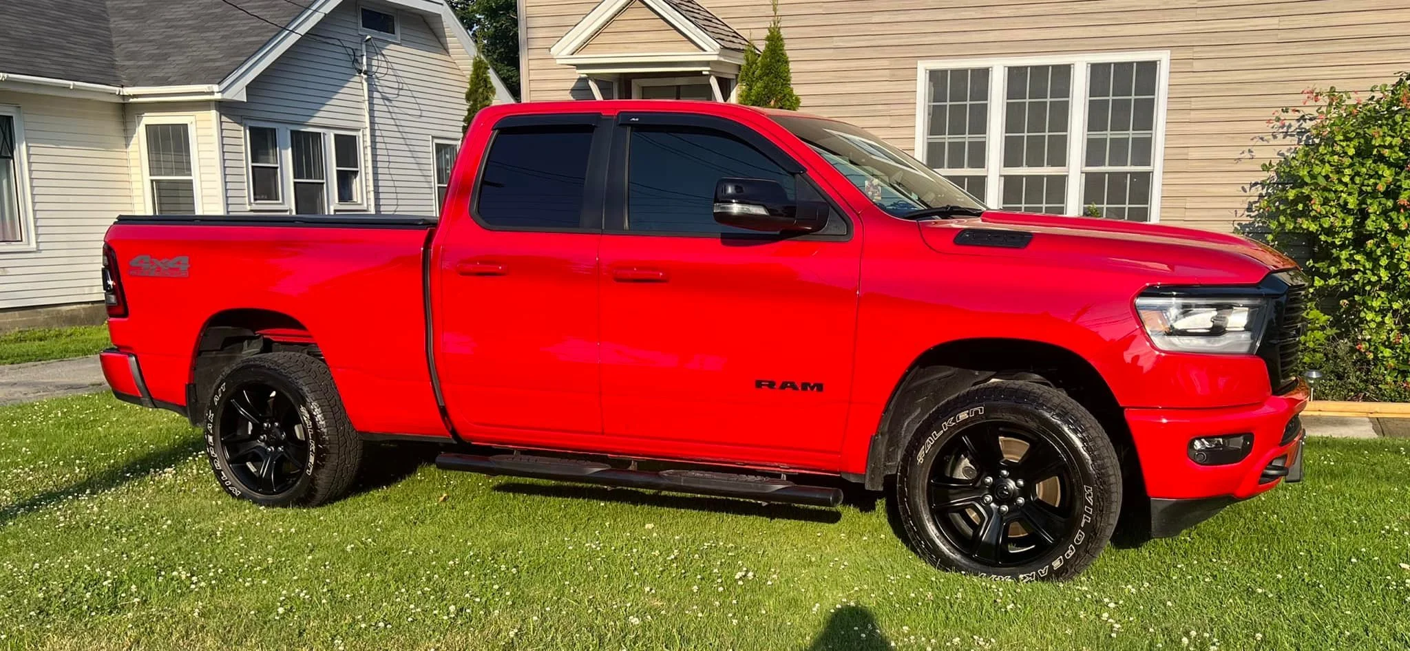 Red Ram.jpg