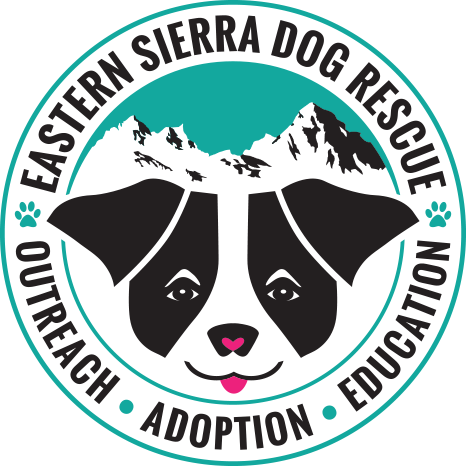 2025 YEAR END REPORT