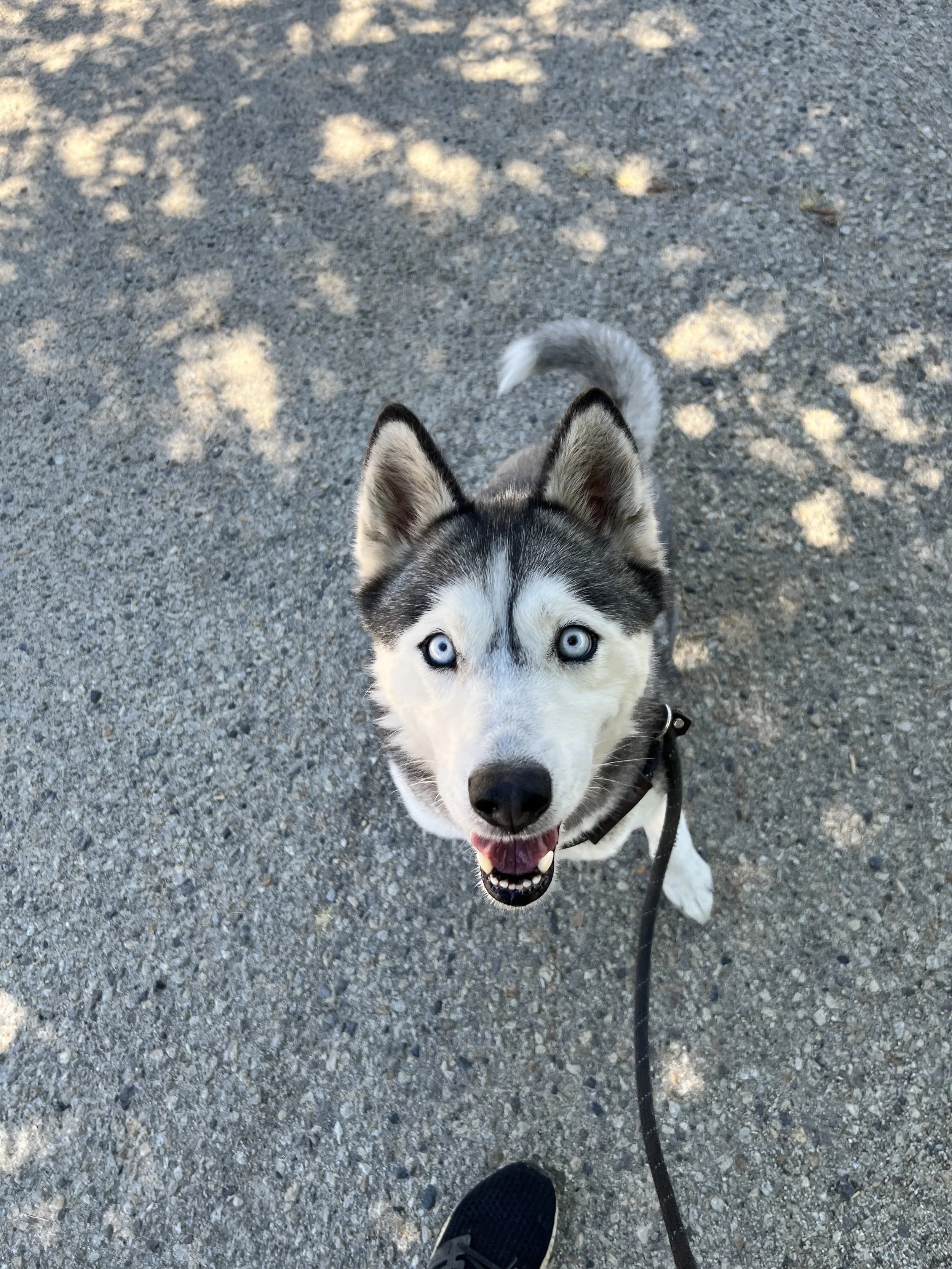 SASHA 2.jpg