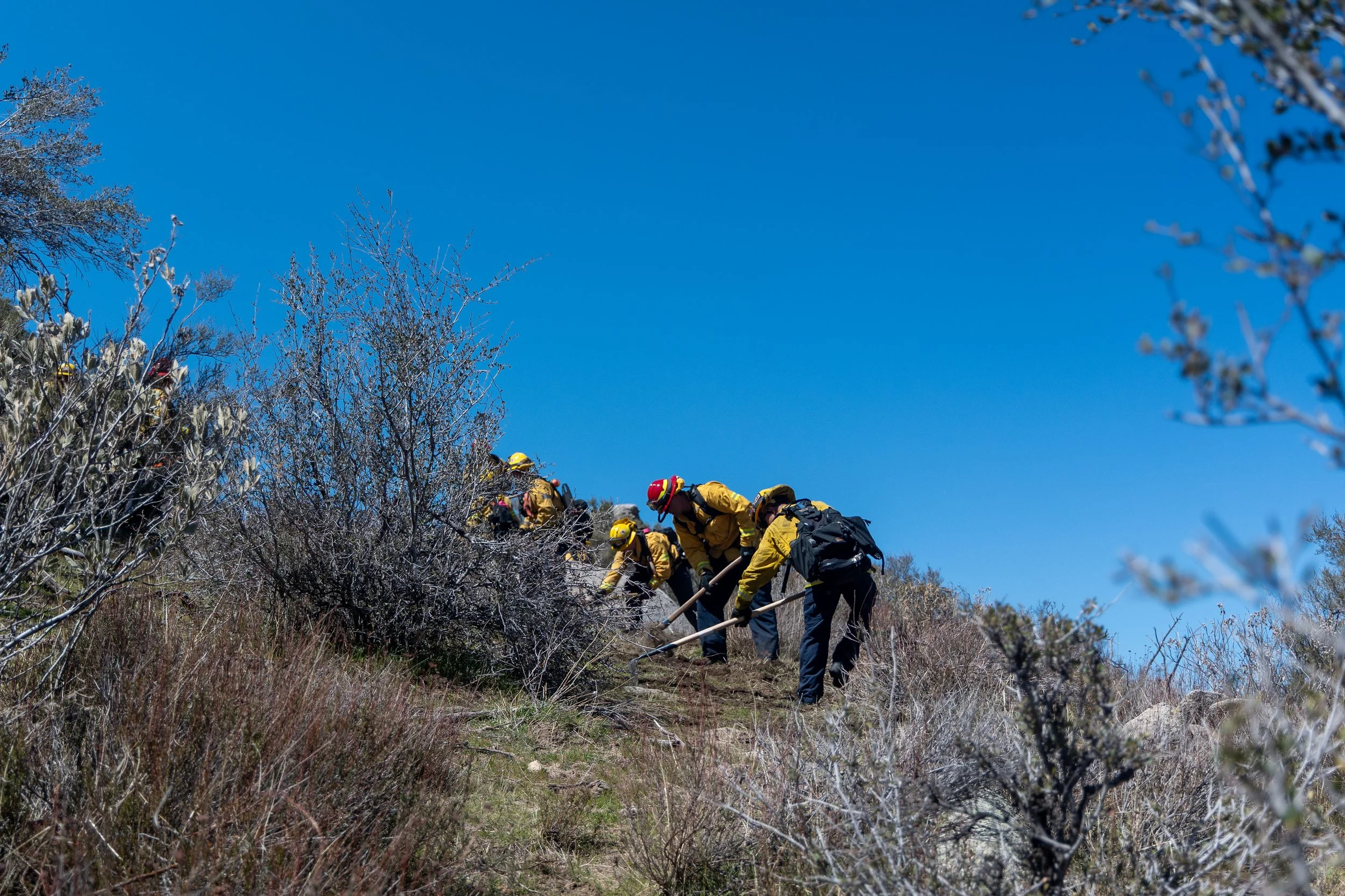 03-20-25 Wildland ISTs (43).jpg