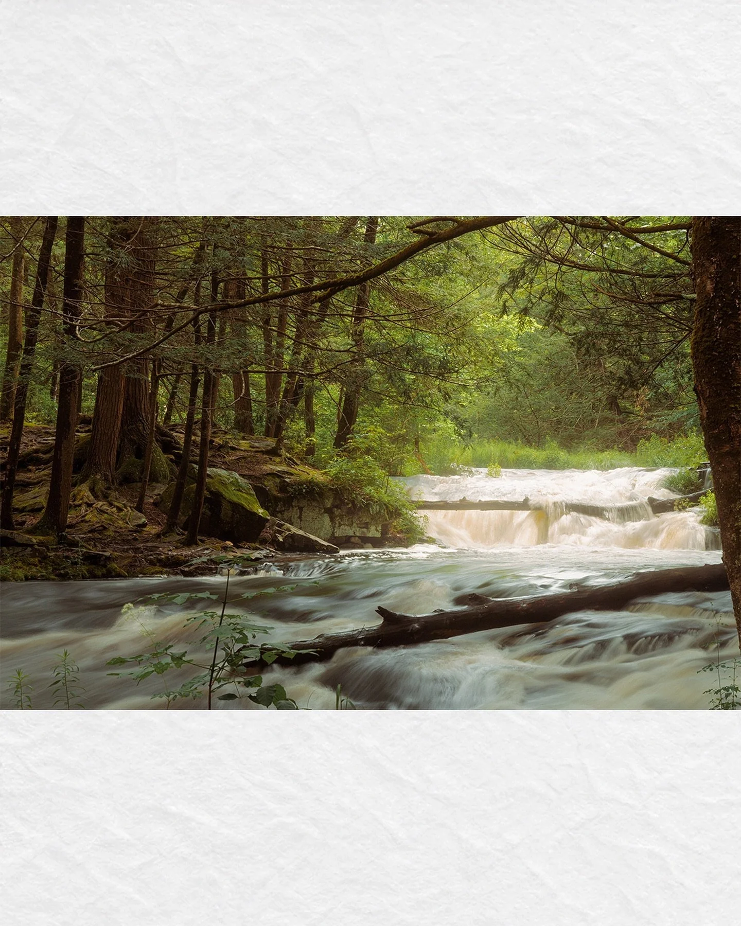 Somewhere down a trail in Pennsylvania⛰️
