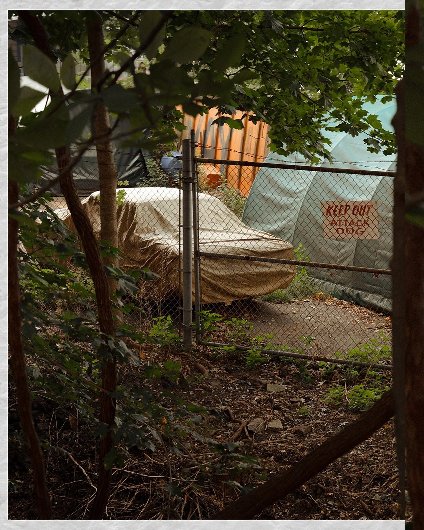 Keep Out ~ Attack Dog 🐕 🚗
&bull;
📸: Another one from 2021~ Simple shot, definitely a favorite of mine.