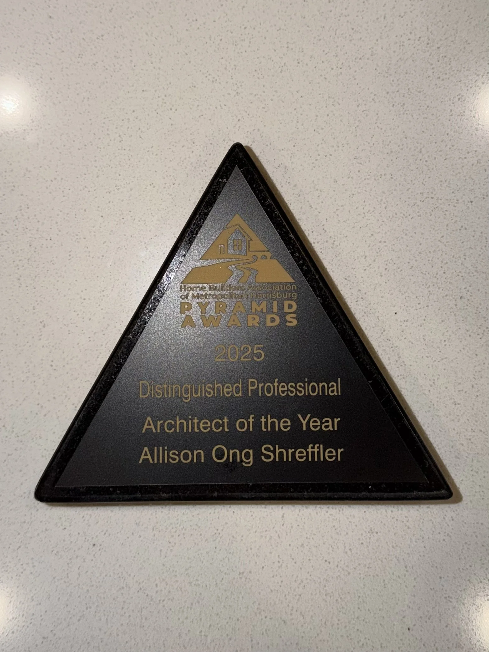 DISTINGUISHED PROFESSIONAL ARCHITECT OF THE YEAR AWARD