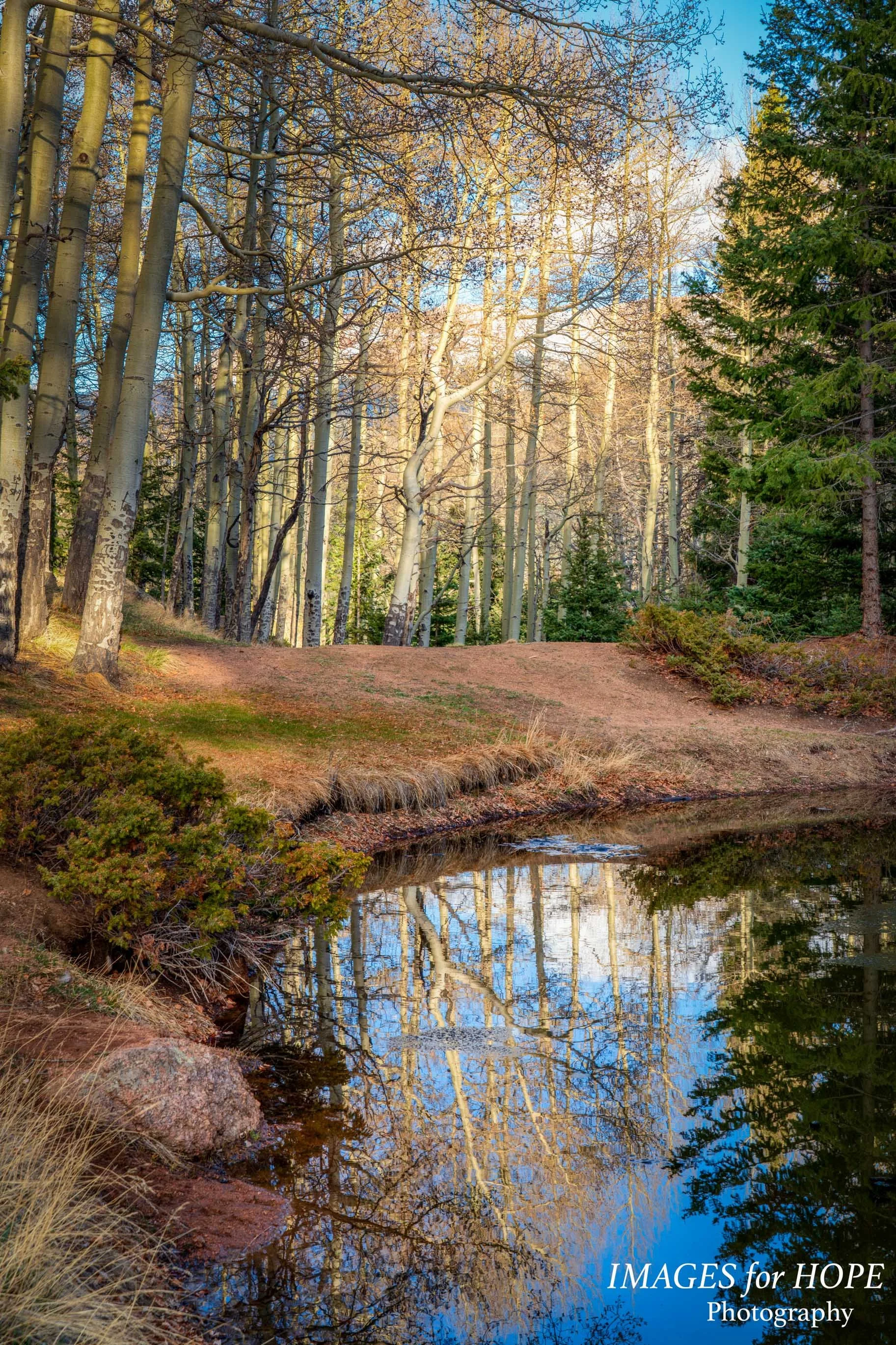 Reflecting Pond, Mueller State Park (Colorado)