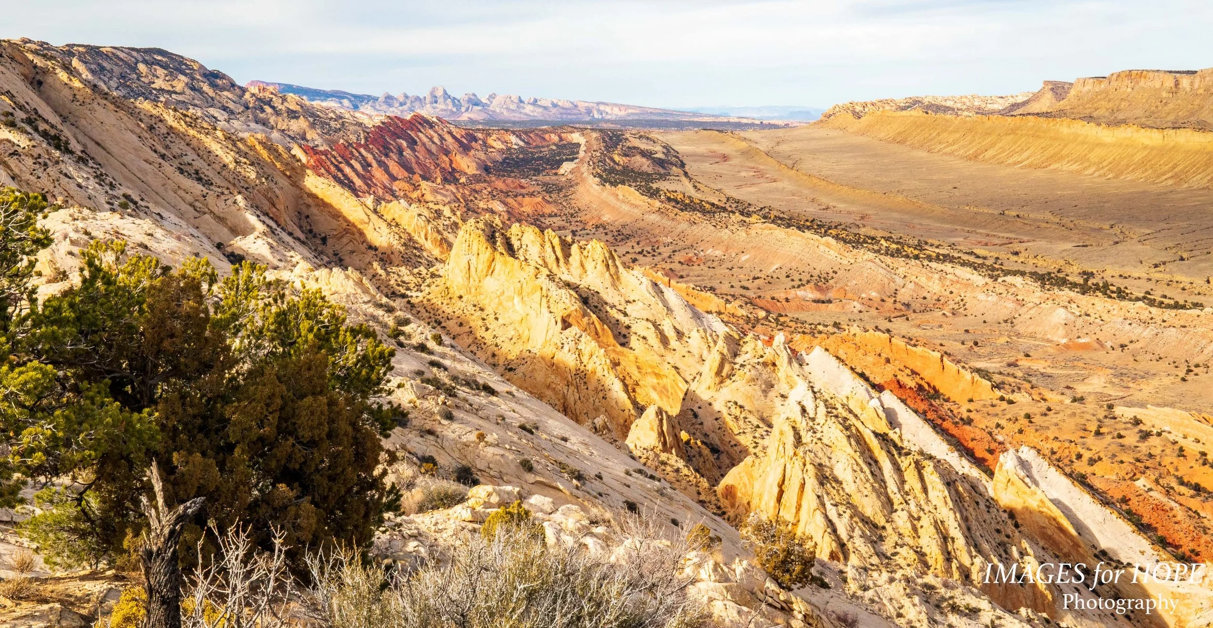 Waterpocket Fold (north), Capital Reef NP (Utah)