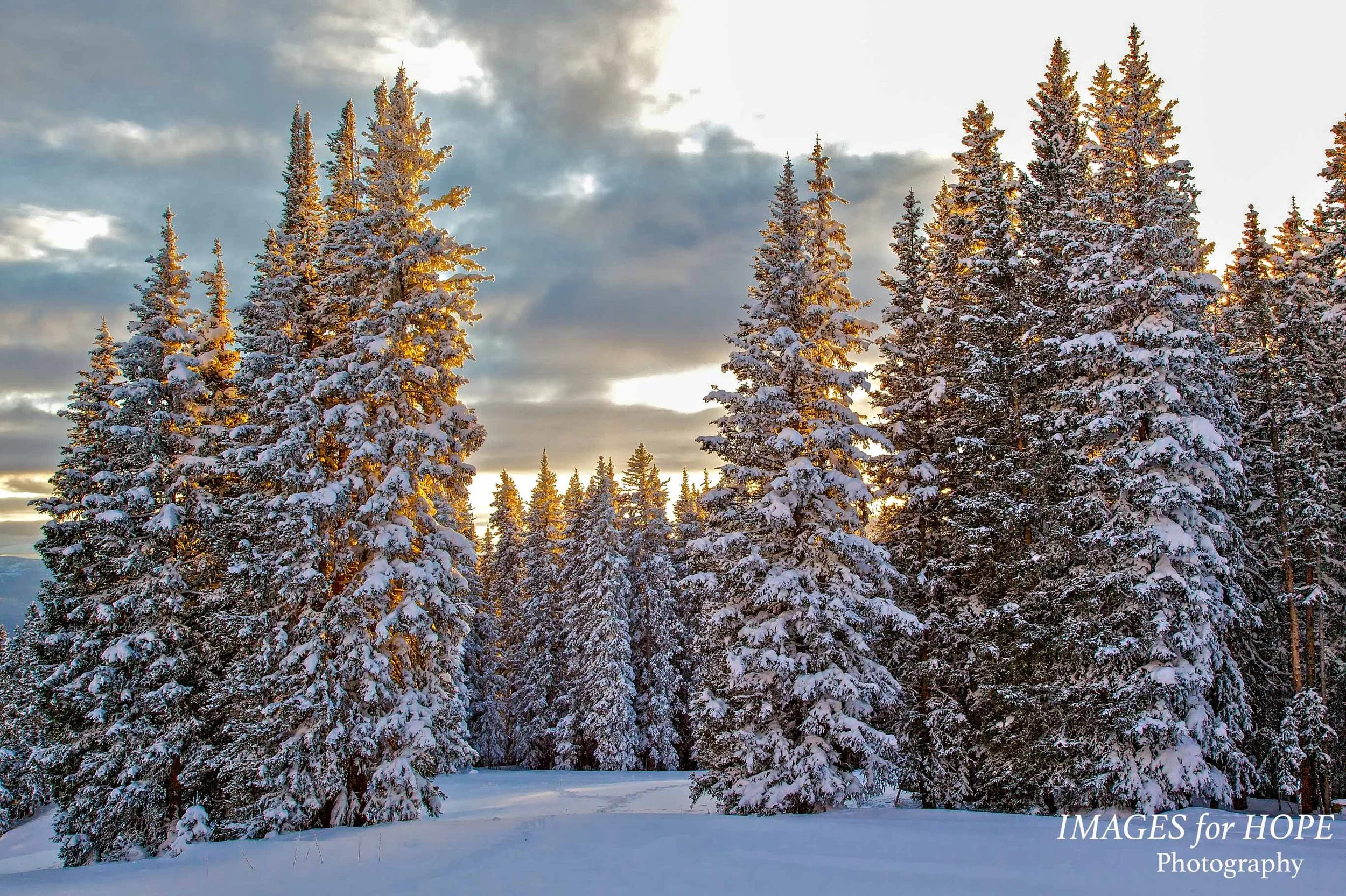 Evening Light at the Peter Estin Hut (Colorado)