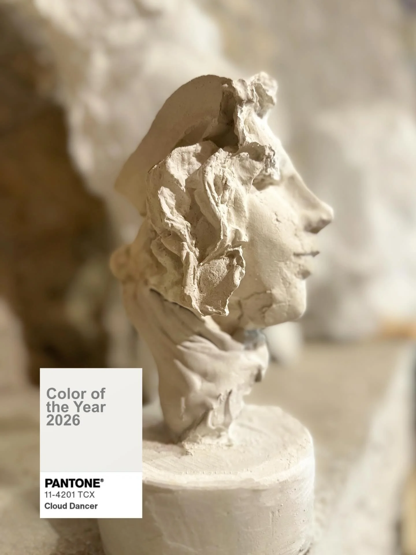 We celebrate Pantone&rsquo;s 2026 Color of the Year, Cloud Dancer, which embodies the delicate white hues of gypsum plaster, the media of choice for the colossal installation, Beyond the Wall for the Tuscan city of Camaiore, first ever attempted Open
