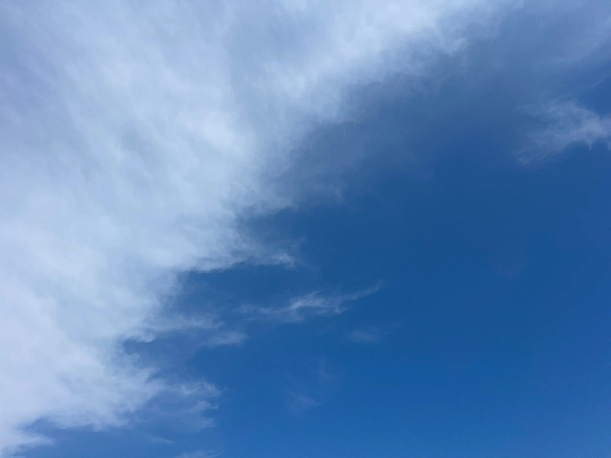 IMG_9497.jpeg