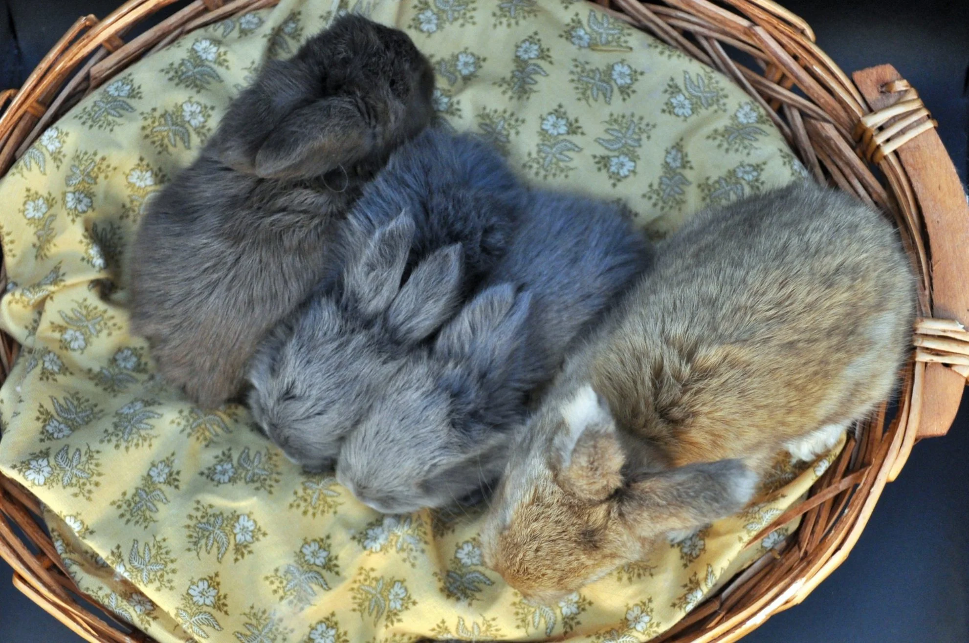 3week pecan krueger.jpg