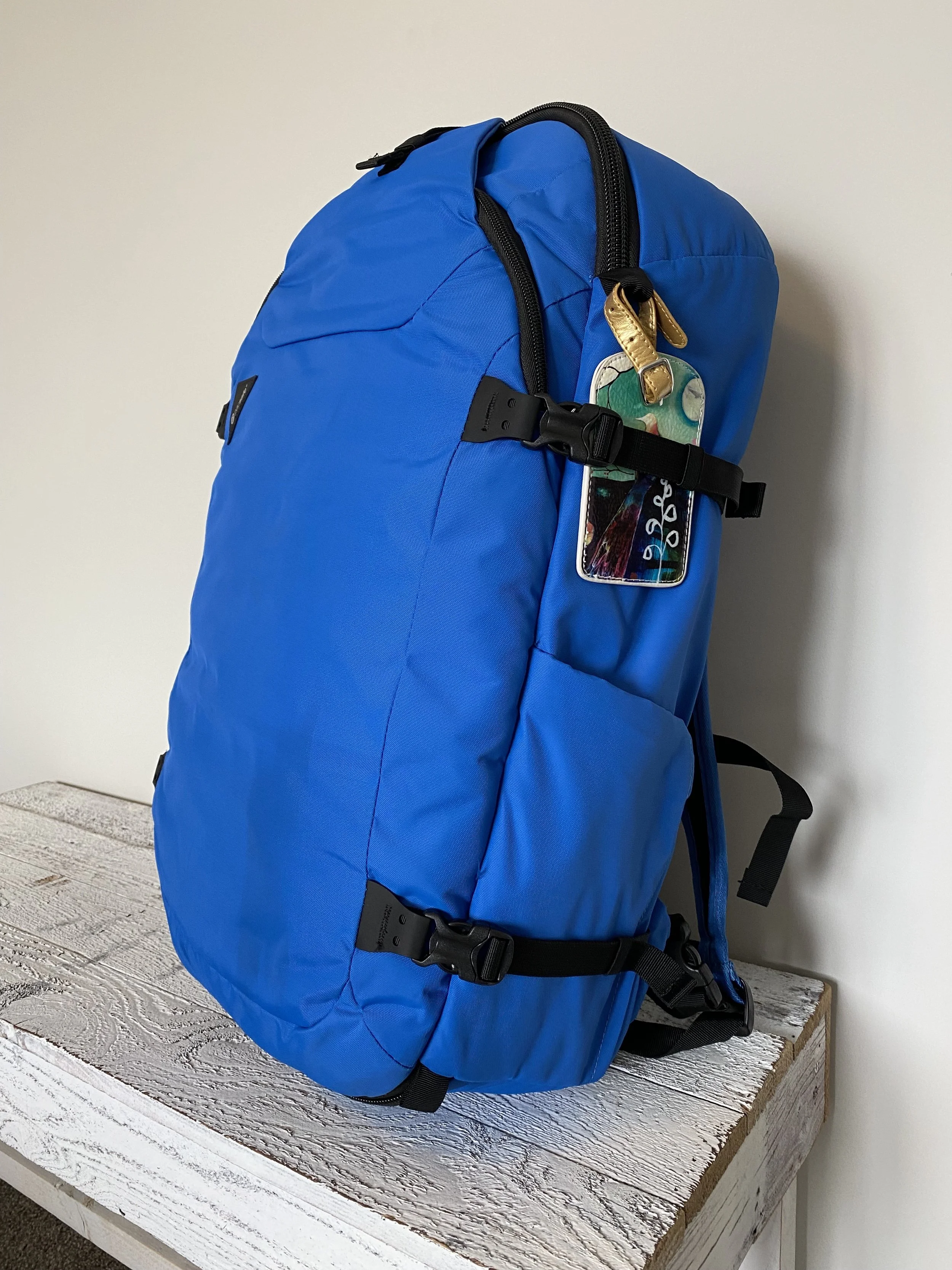 Pacsafe backpack