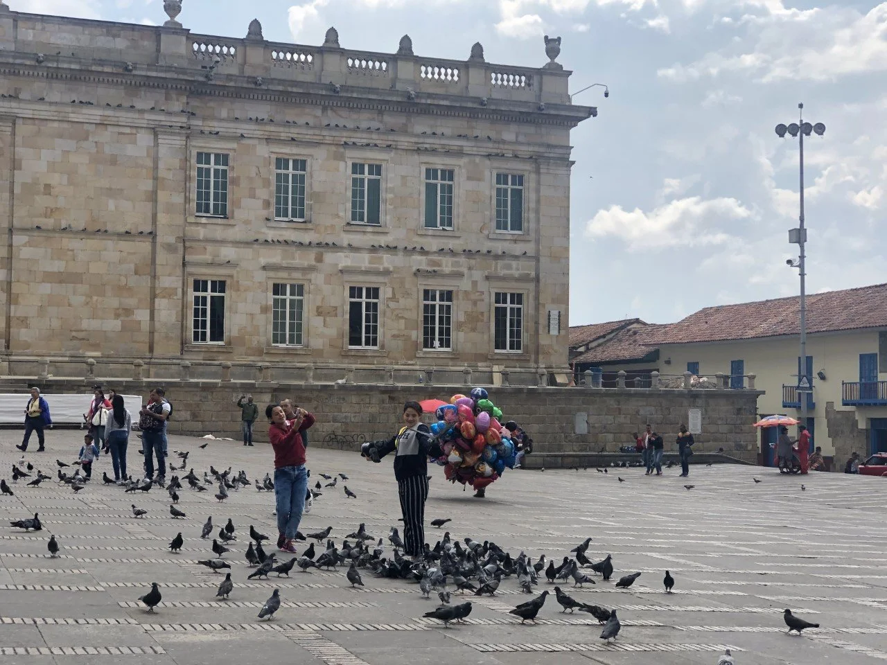 Bogota - Birds.jpg