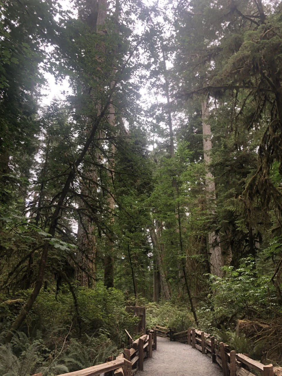 Vancouver Island, British Columbia