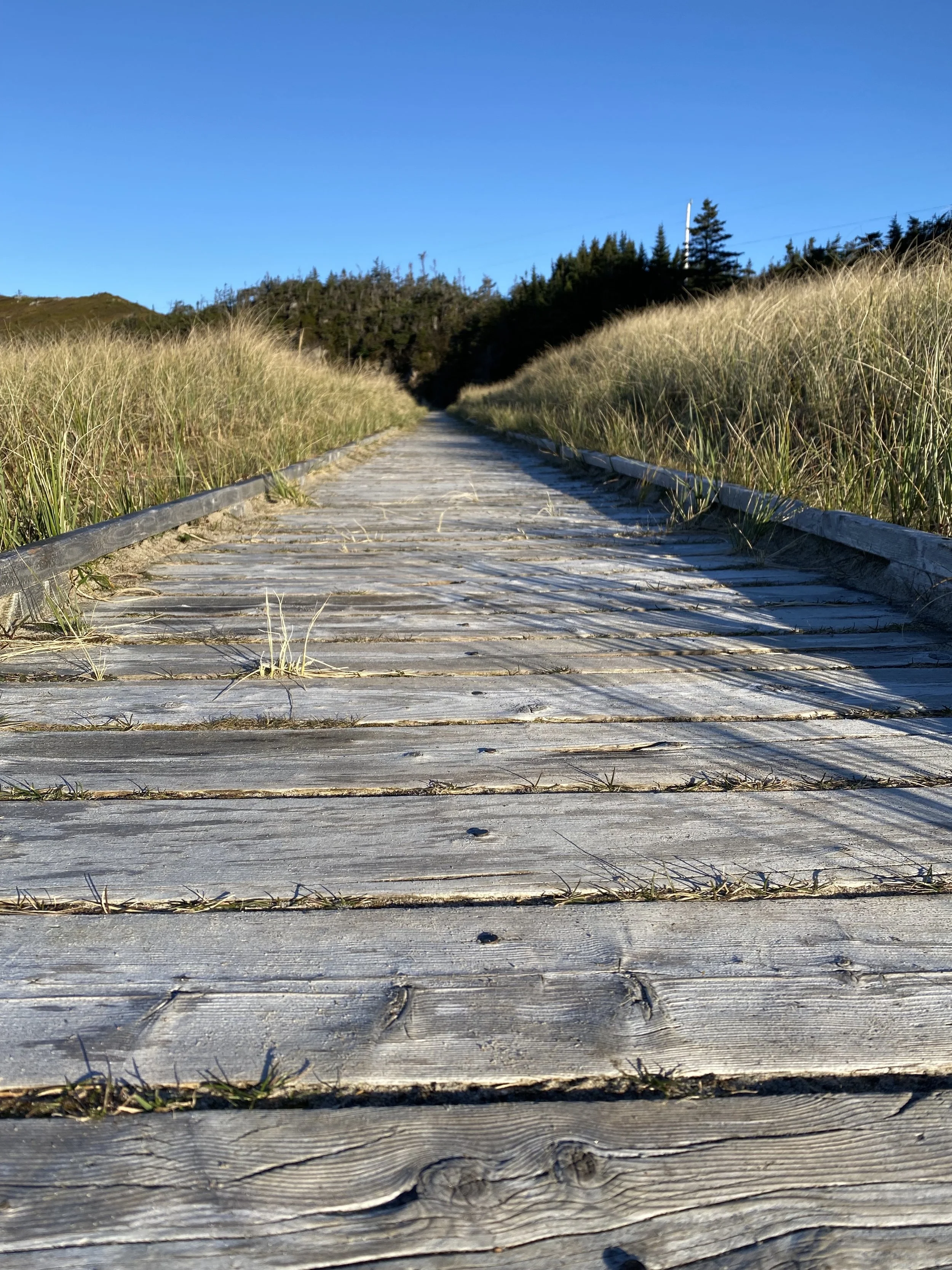 Sandbanks boardwalk