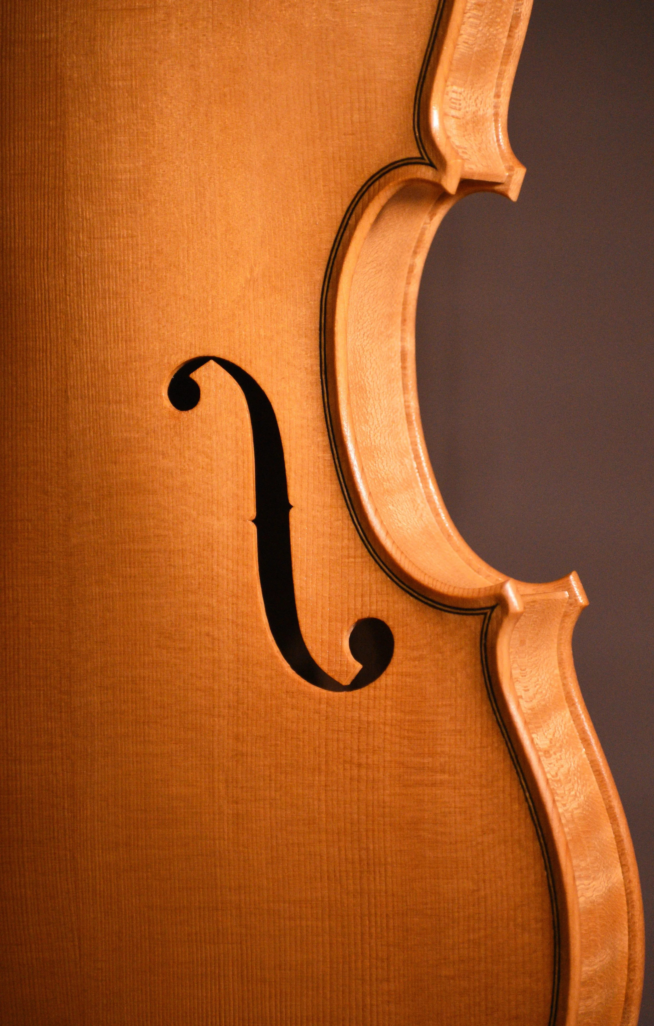 DSC_9461 copy_rotated.jpg