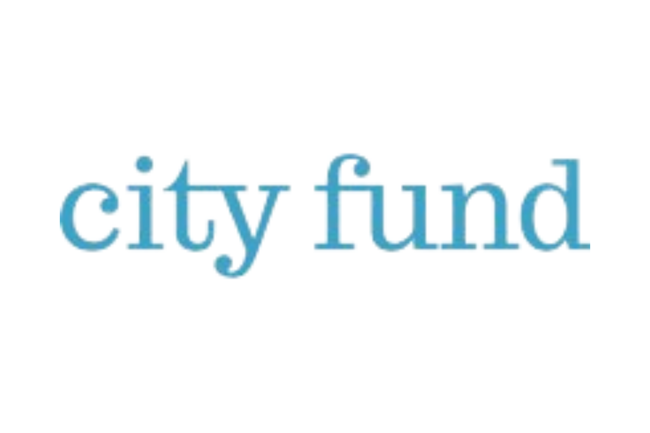 City Fund.png